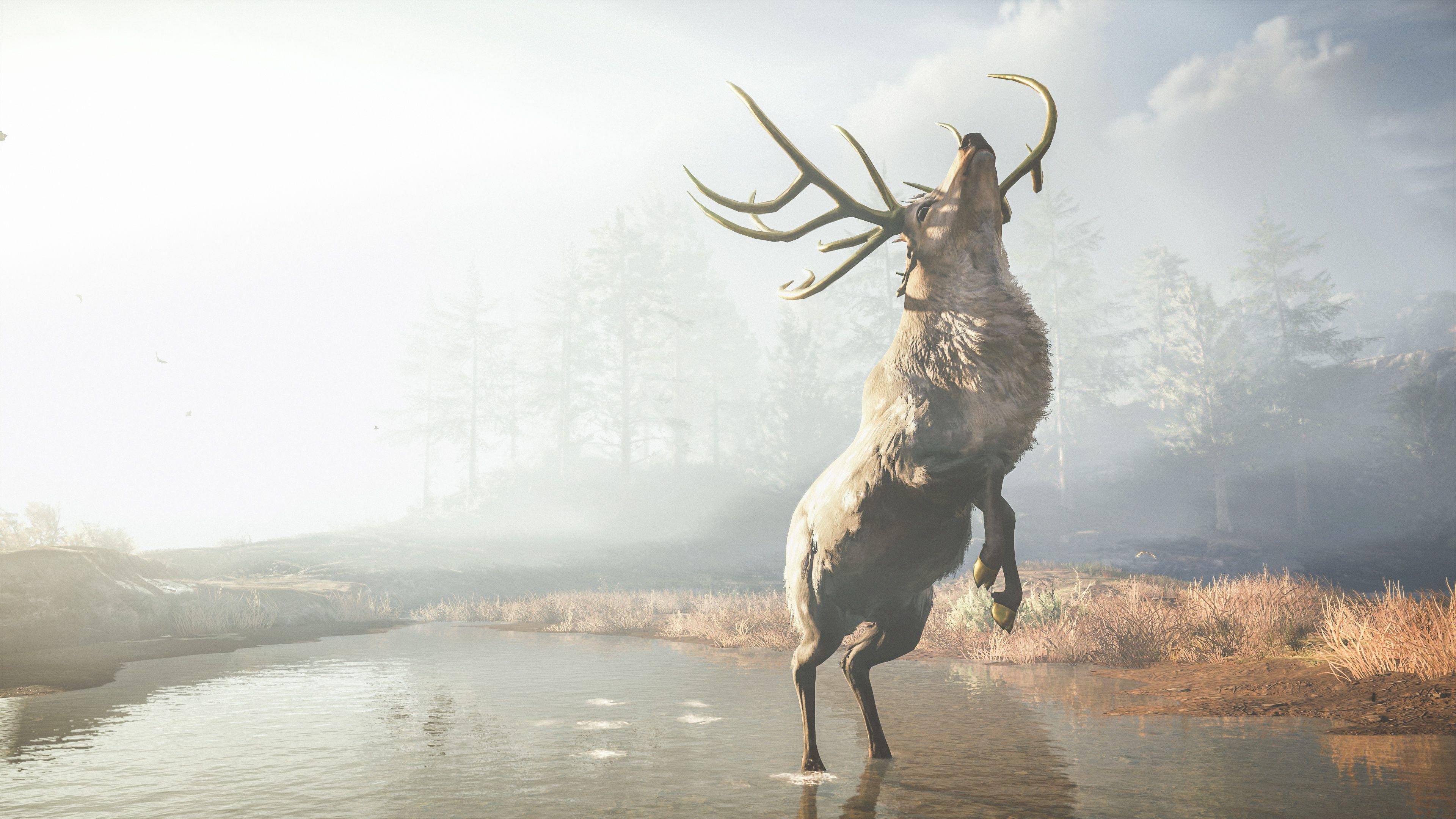 3840x2160 Assassins Creed Odyssey Reindeer 4k, HD Games, 4k Wallpaper
