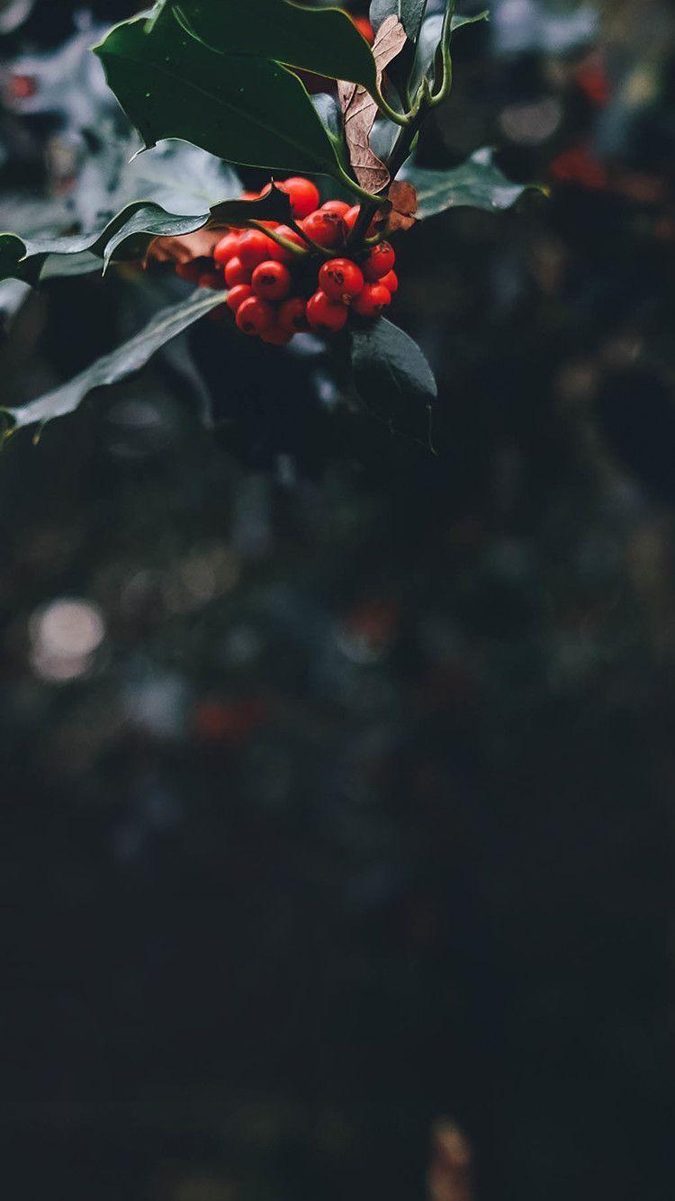 750x1334 December Mobile Wallpaper (The Dress Decoded). Walpapers