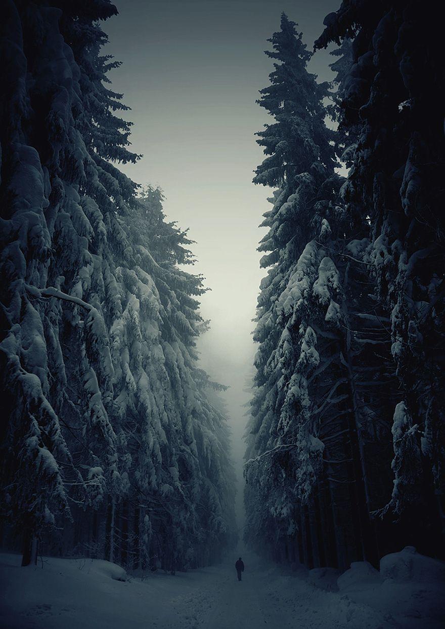 December Nature Wallpapers - Top Free December Nature Backgrounds