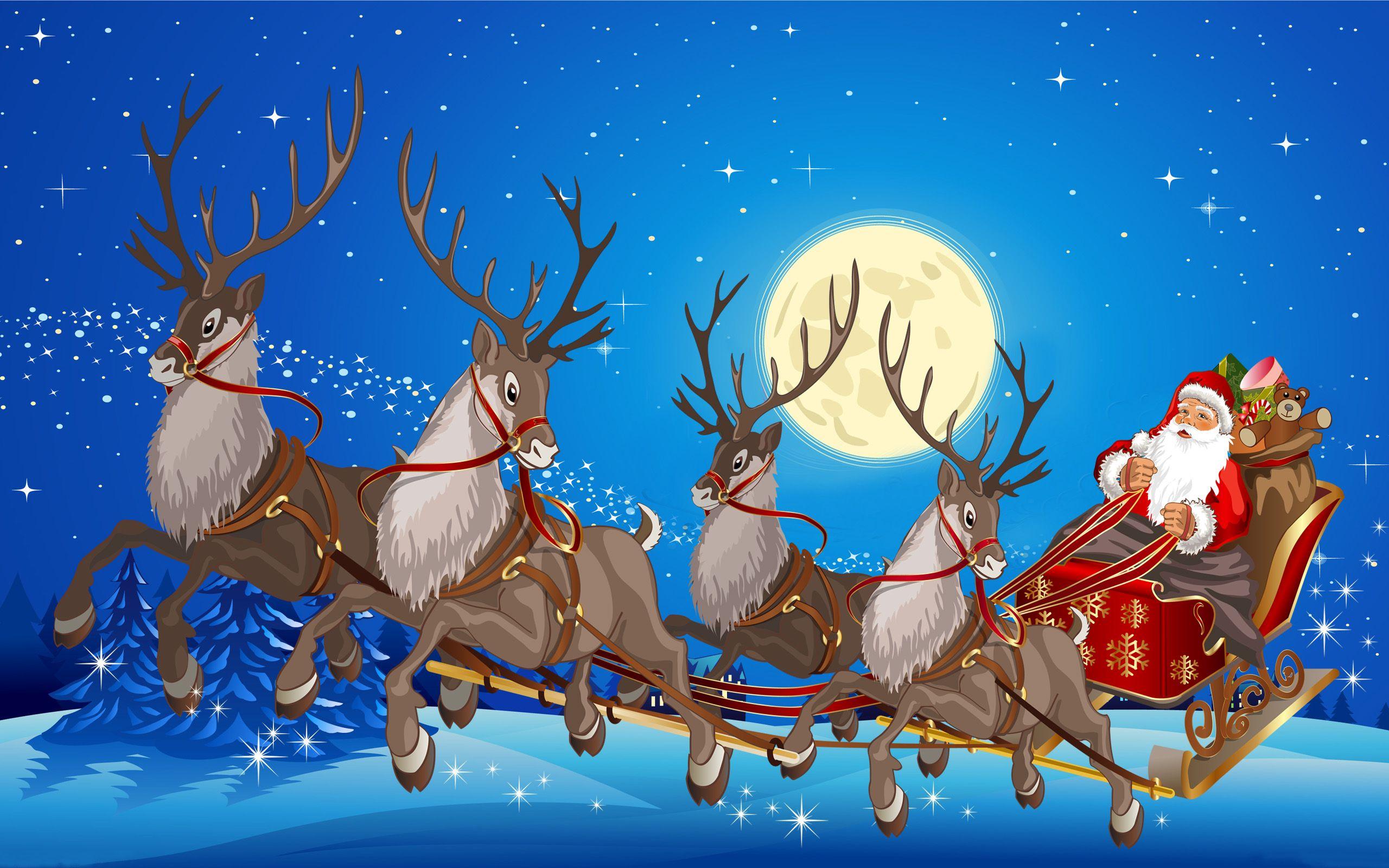Reindeer christmas HD phone wallpaper  Peakpx