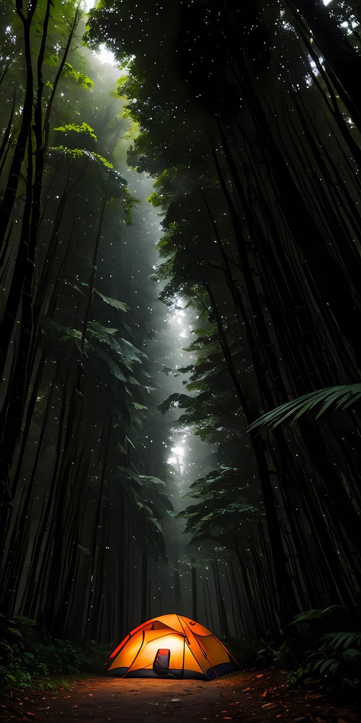 736x1472 8K Wallpaper UltraHD iPhone, 8K