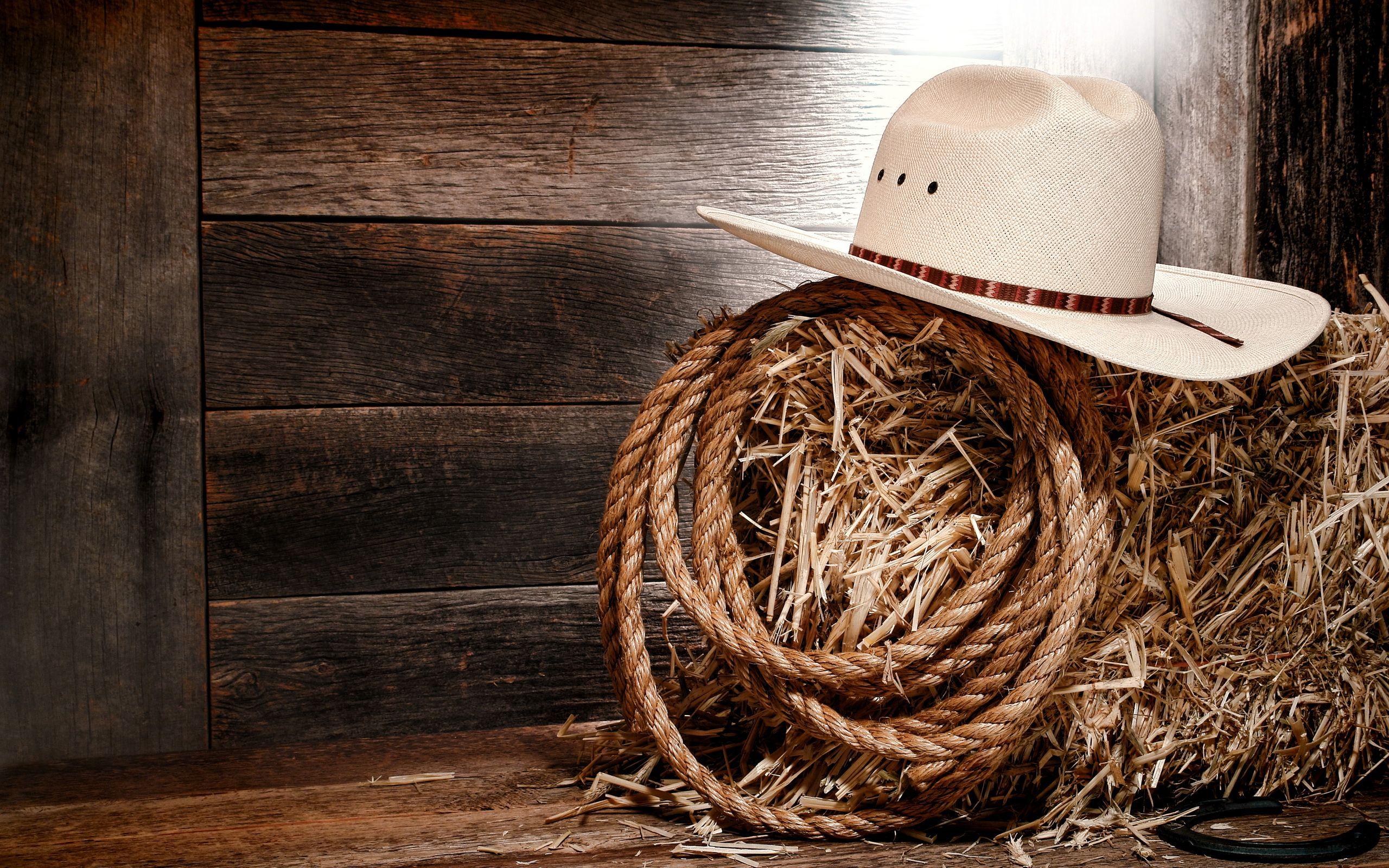2560x1600 Cowboy HD Wallpaper and Background Image