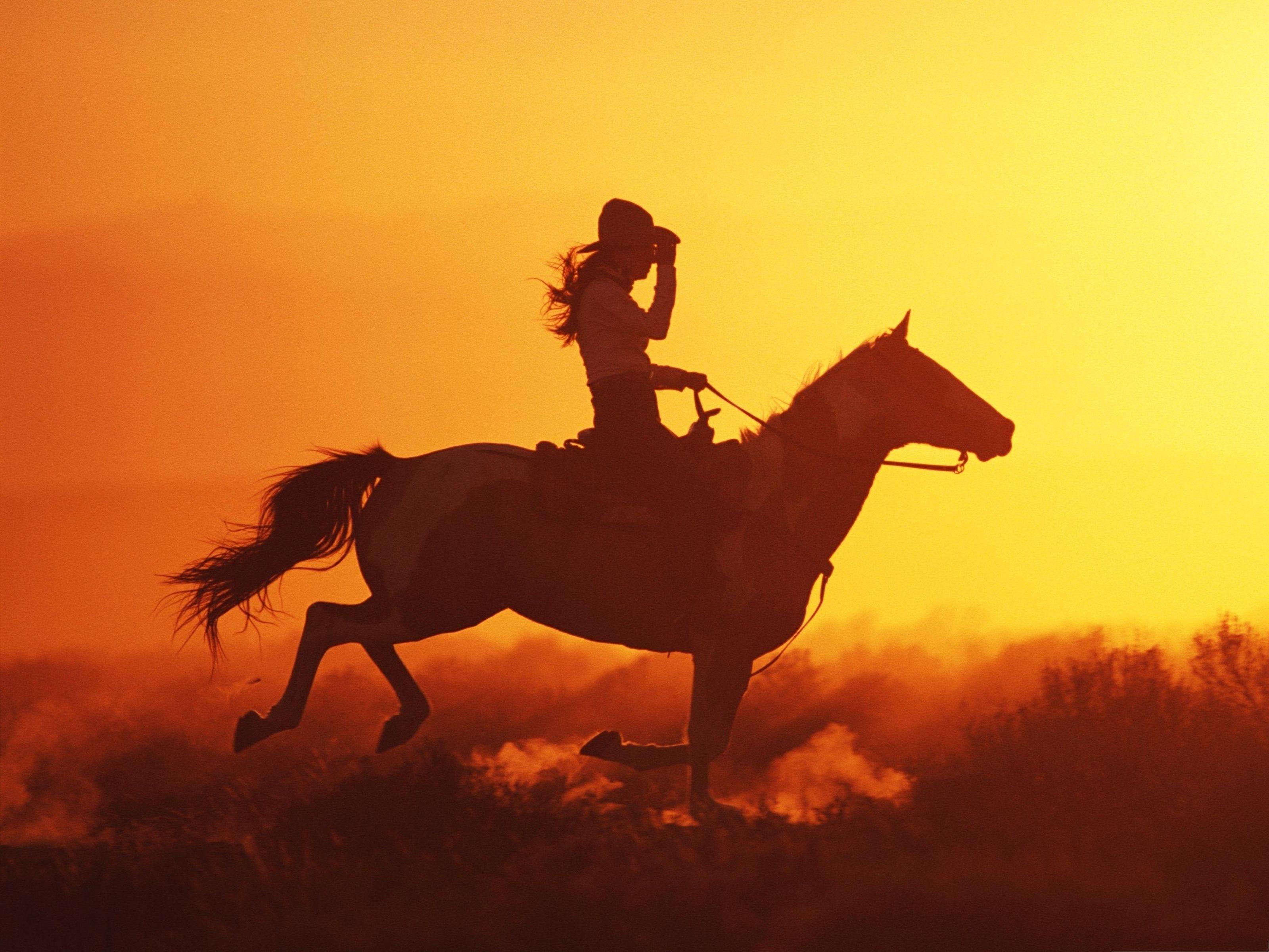 Cowgirl Wallpapers Top Free Cowgirl Backgrounds Wallpaperaccess