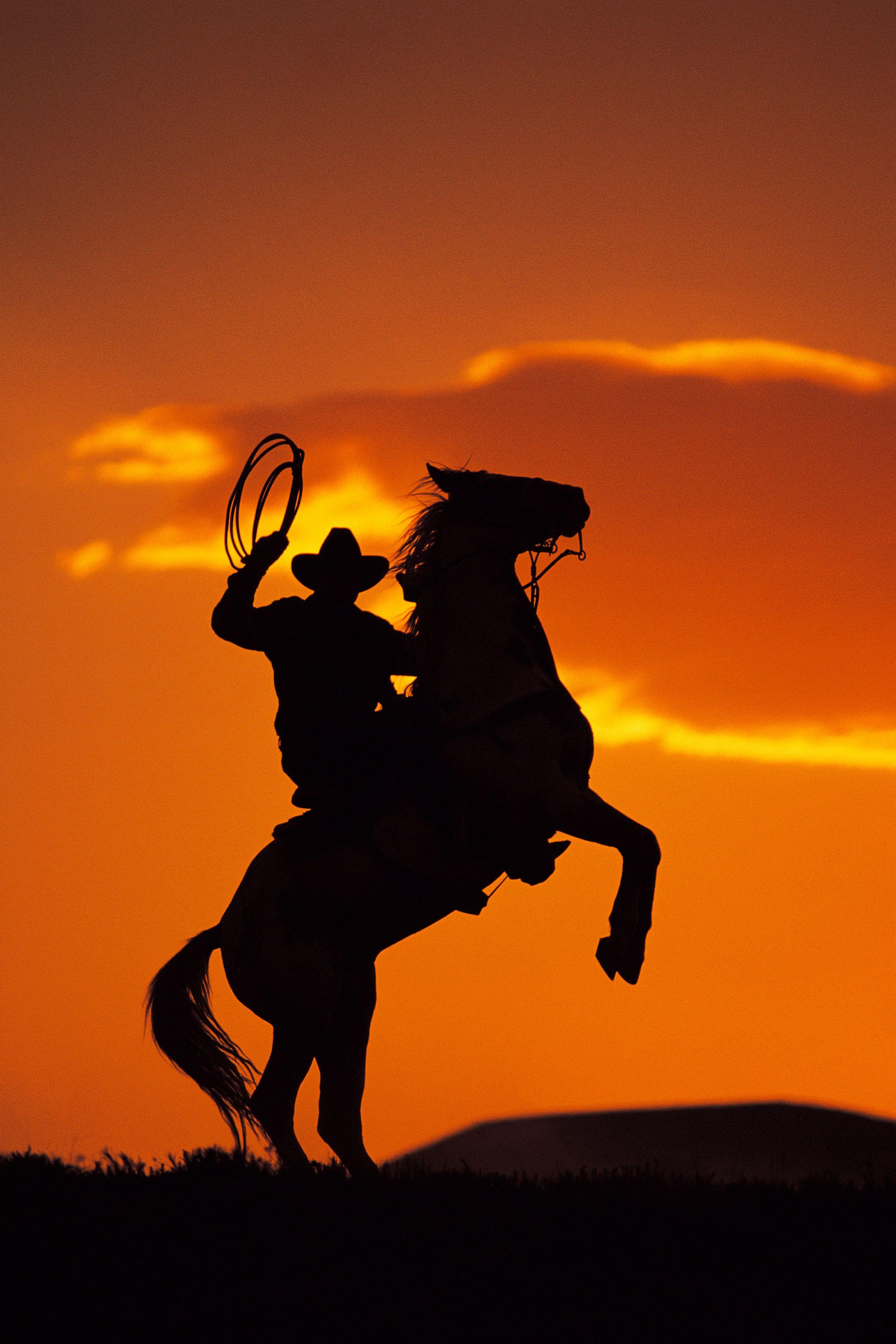 2440x3660 Cowboy wallpaper Gallery. Beautiful and Interesting Image
