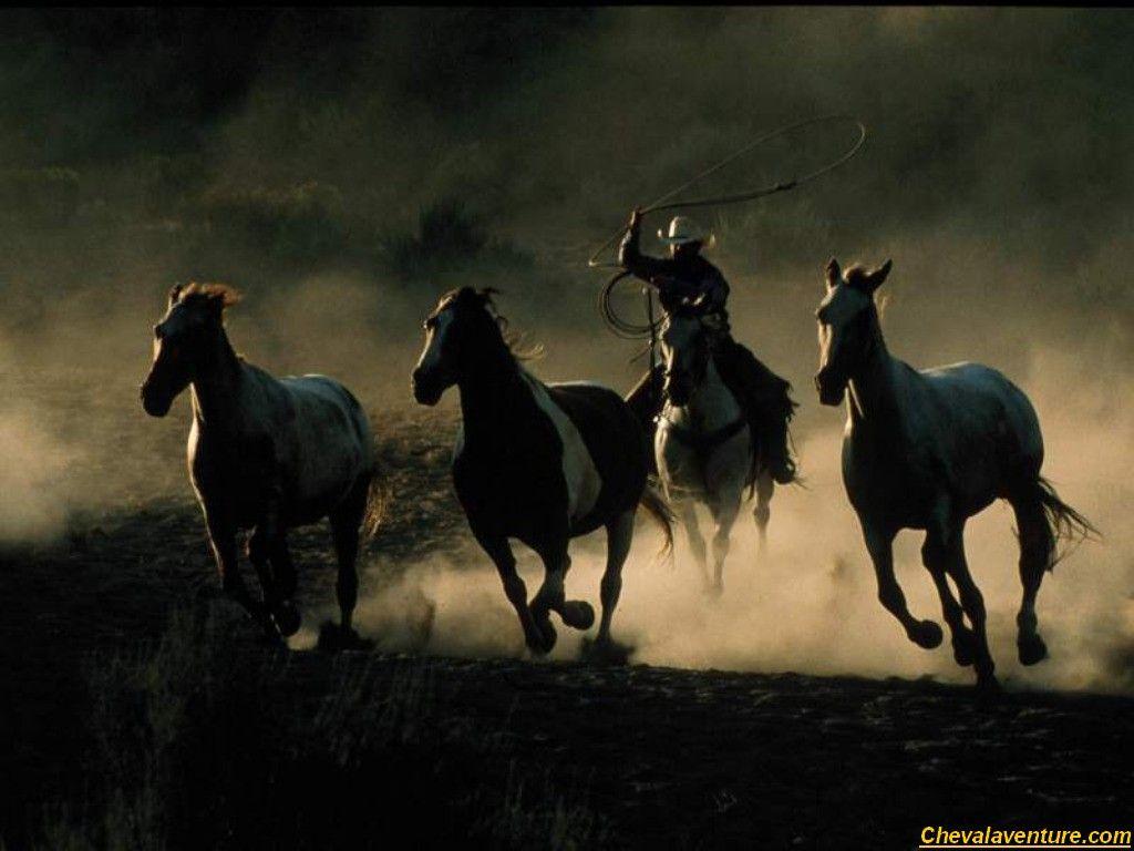 1024x768 Free download rodeo ranch cowboy cowgirl Wallpaper