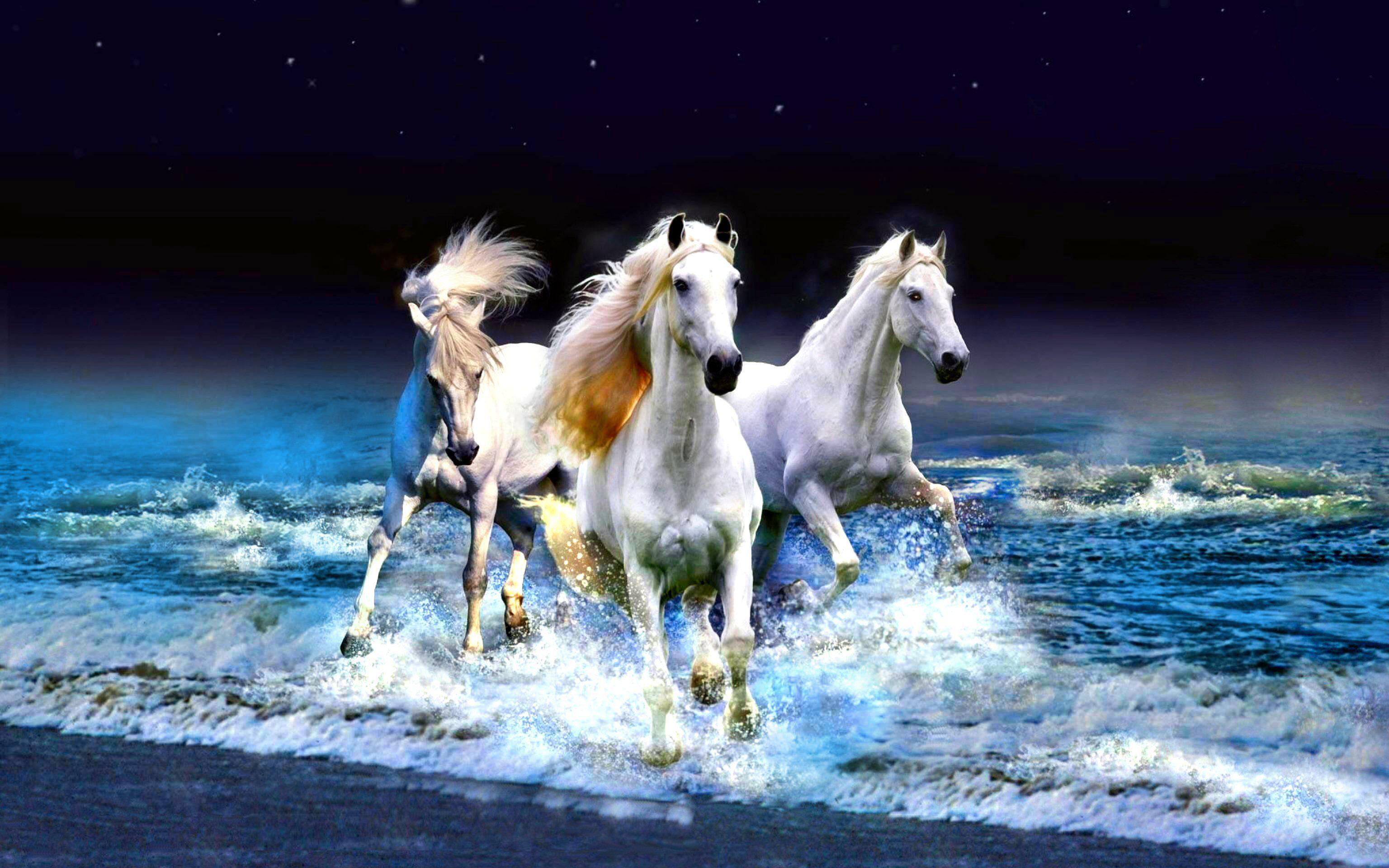 White Horse Wallpapers Top Free White Horse Backgrounds WallpaperAccess