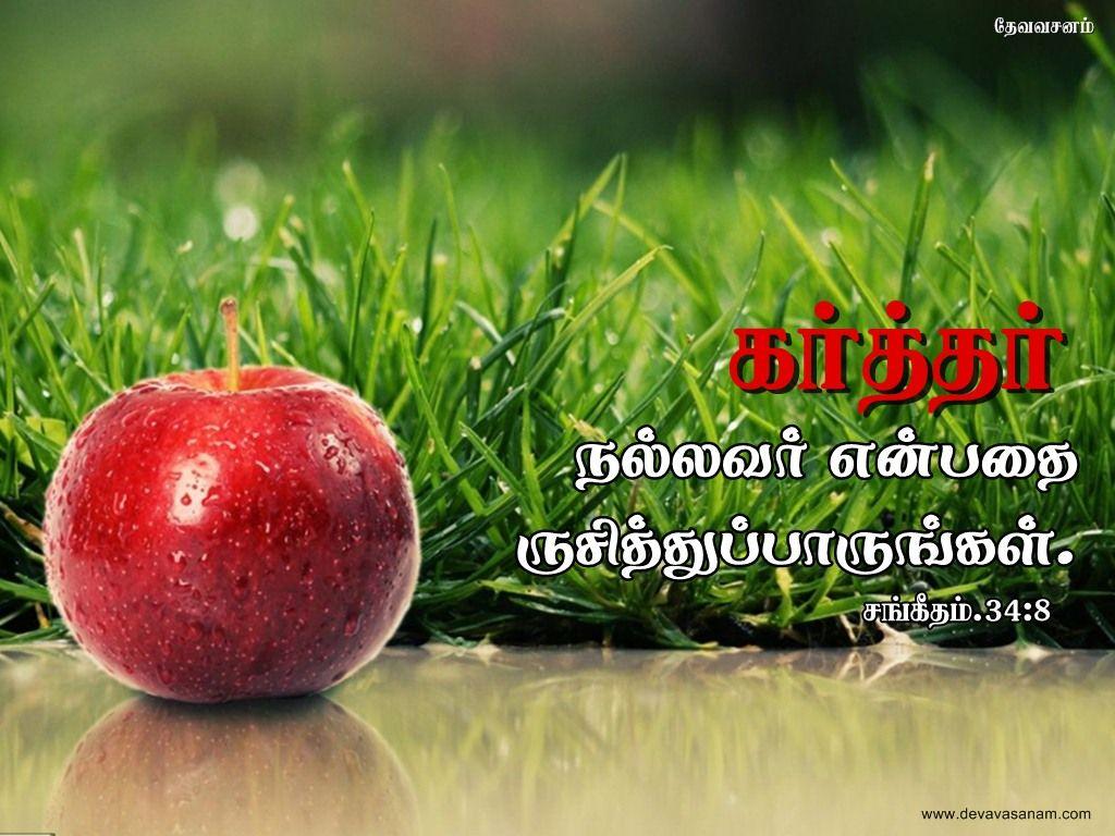 1024x768 Download HD Christmas & New Year 2018 Bible Verse Greetings