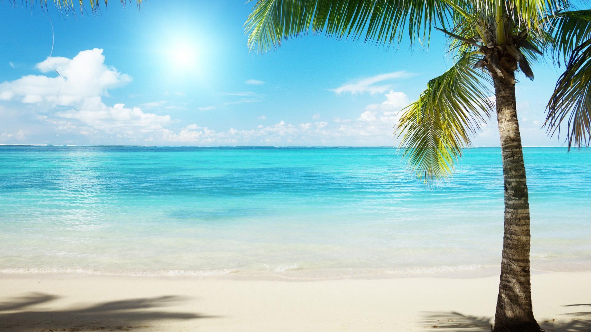 Download wallpaper 750x1334 tropical beach sea sunny day blue sky  nature iphone 7 iphone 8 750x1334 hd background 23704