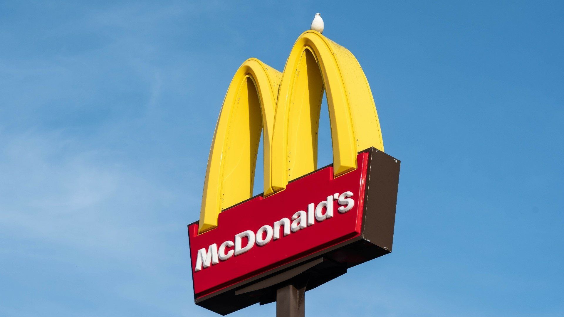 1920x1080 Dove Logo Man Made McDonald's HD Wallpaper