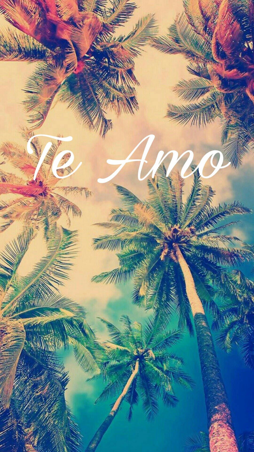 1080x1920 Tropical Palm Trees Te Amo Wallpaper