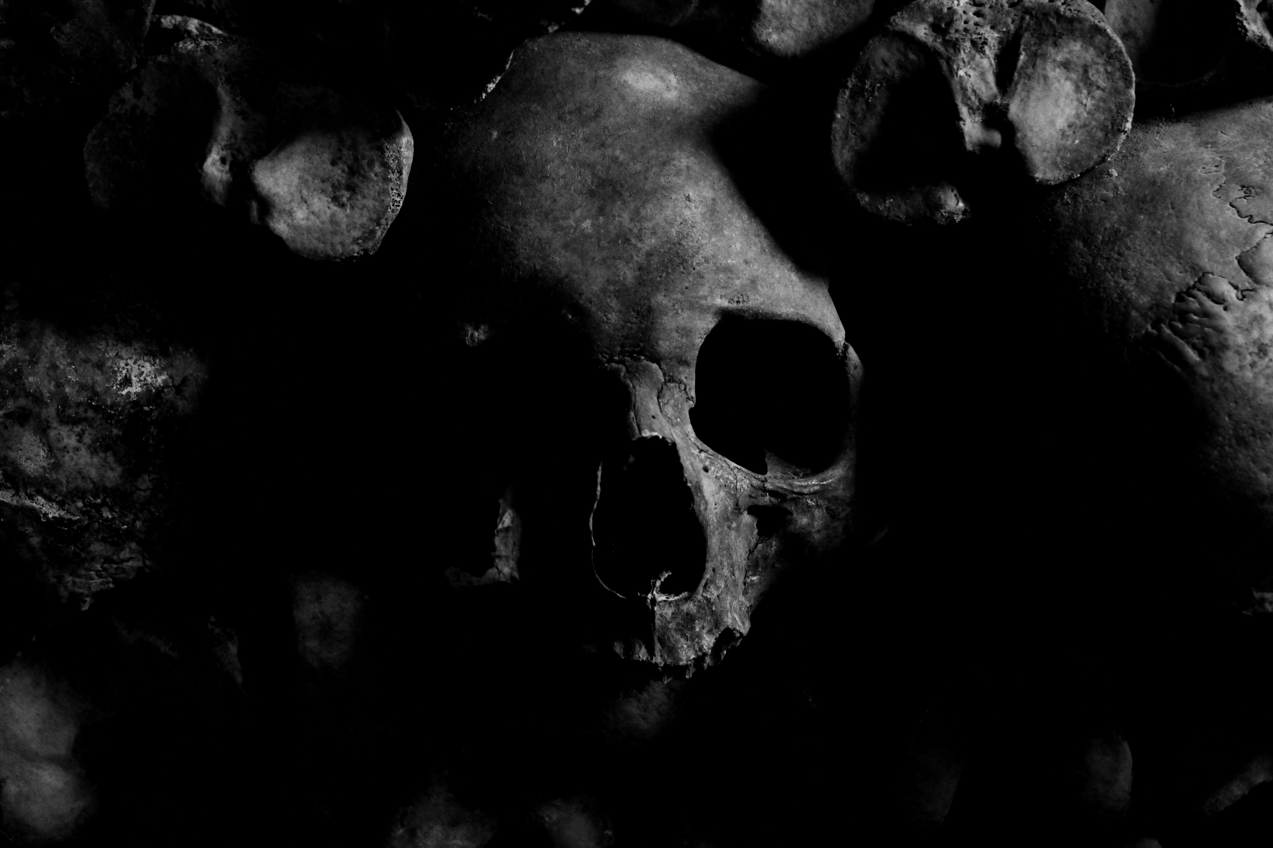 4272x2848 Skull Wallpaper Photo, Download