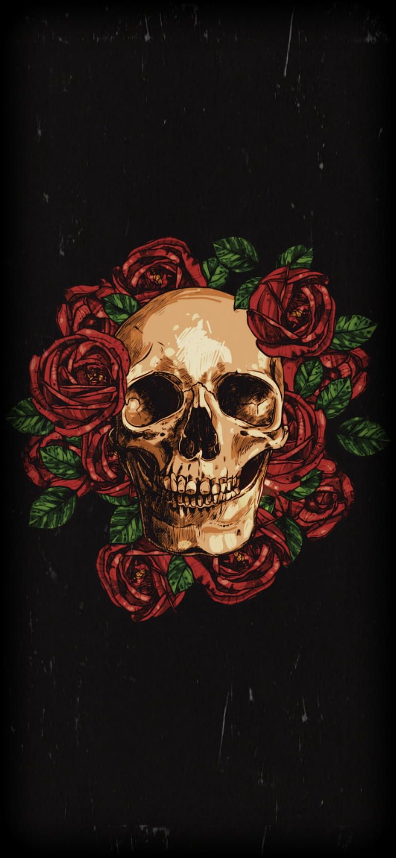 800x1733 Skull Roses, black, calaveras, red