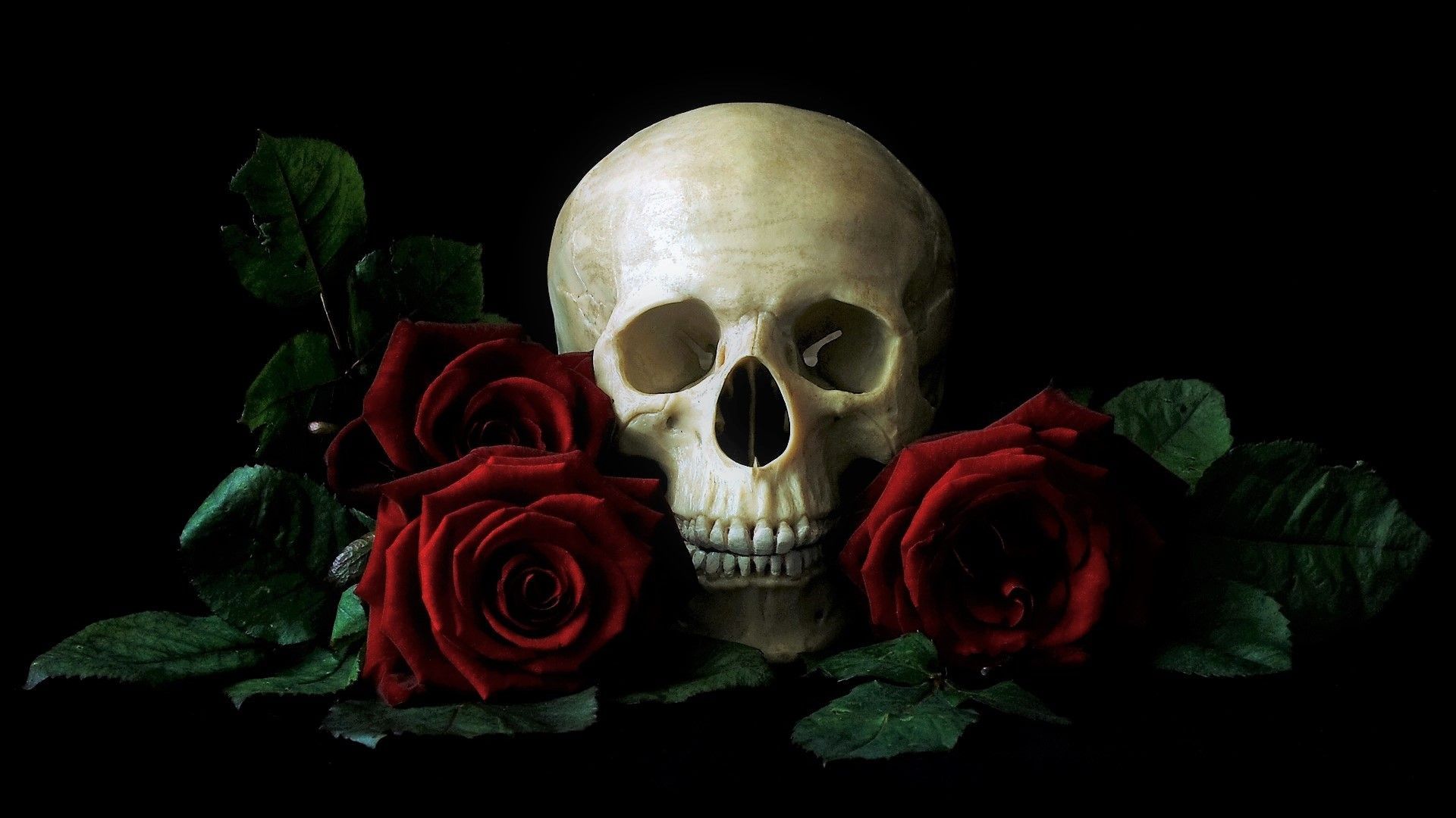1920x1080 Skull and Red Roses HD Wallpaper