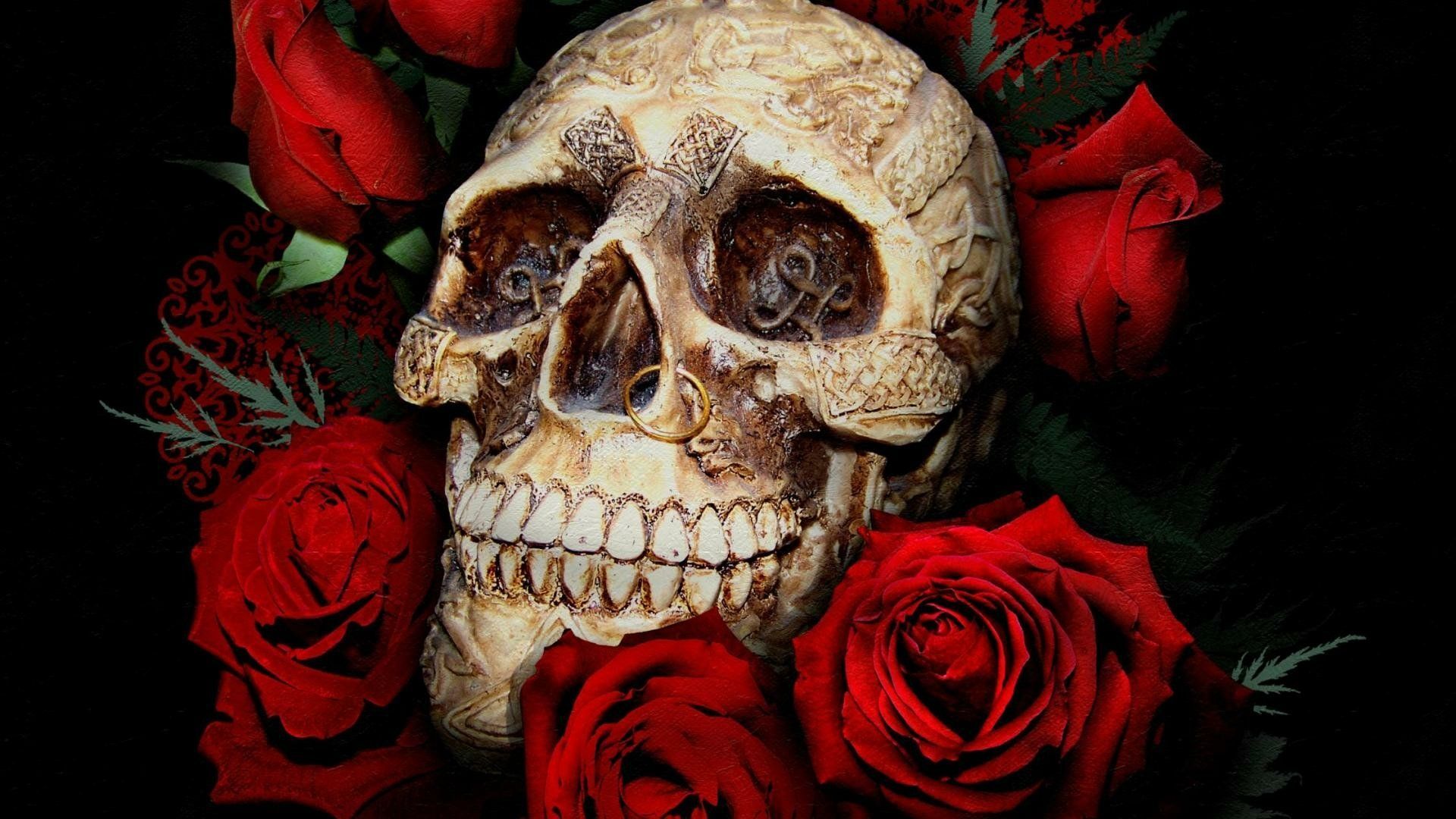 1920x1080 Red Flower Gothic Piercing Red Rose