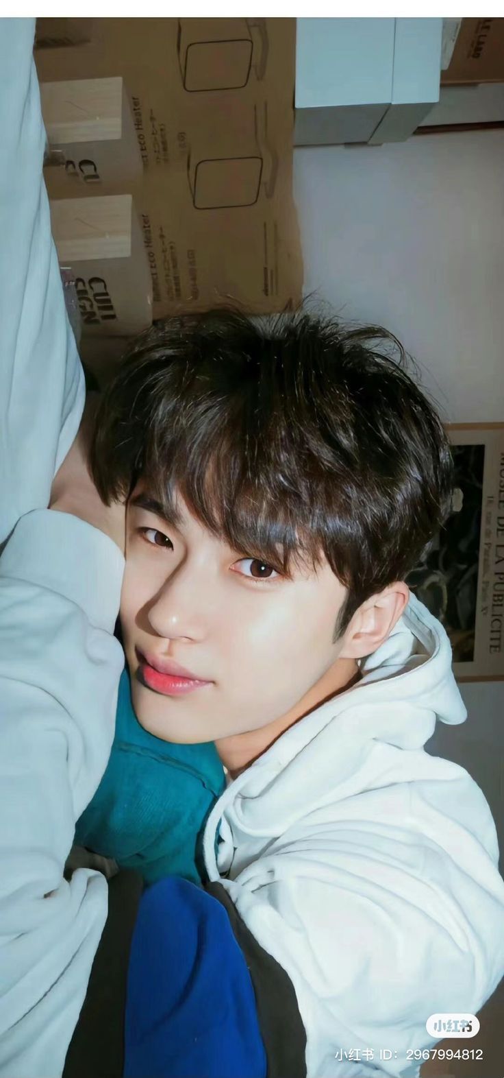 736x1572 Pin page