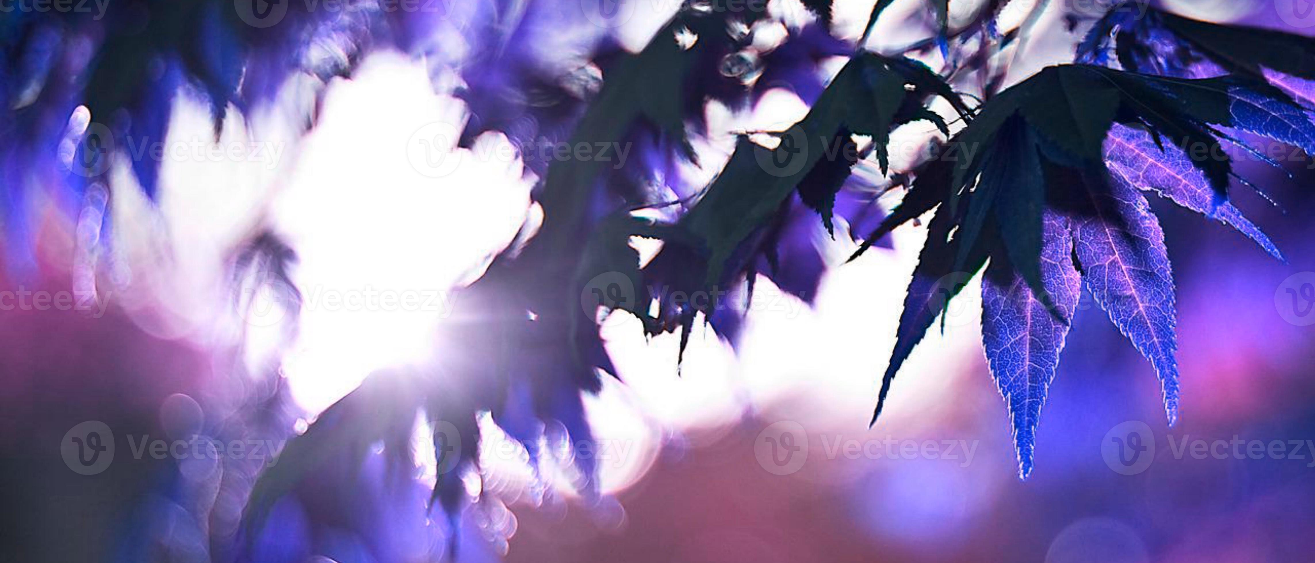 4573x1960 4k HD wallpaper for computer desktop