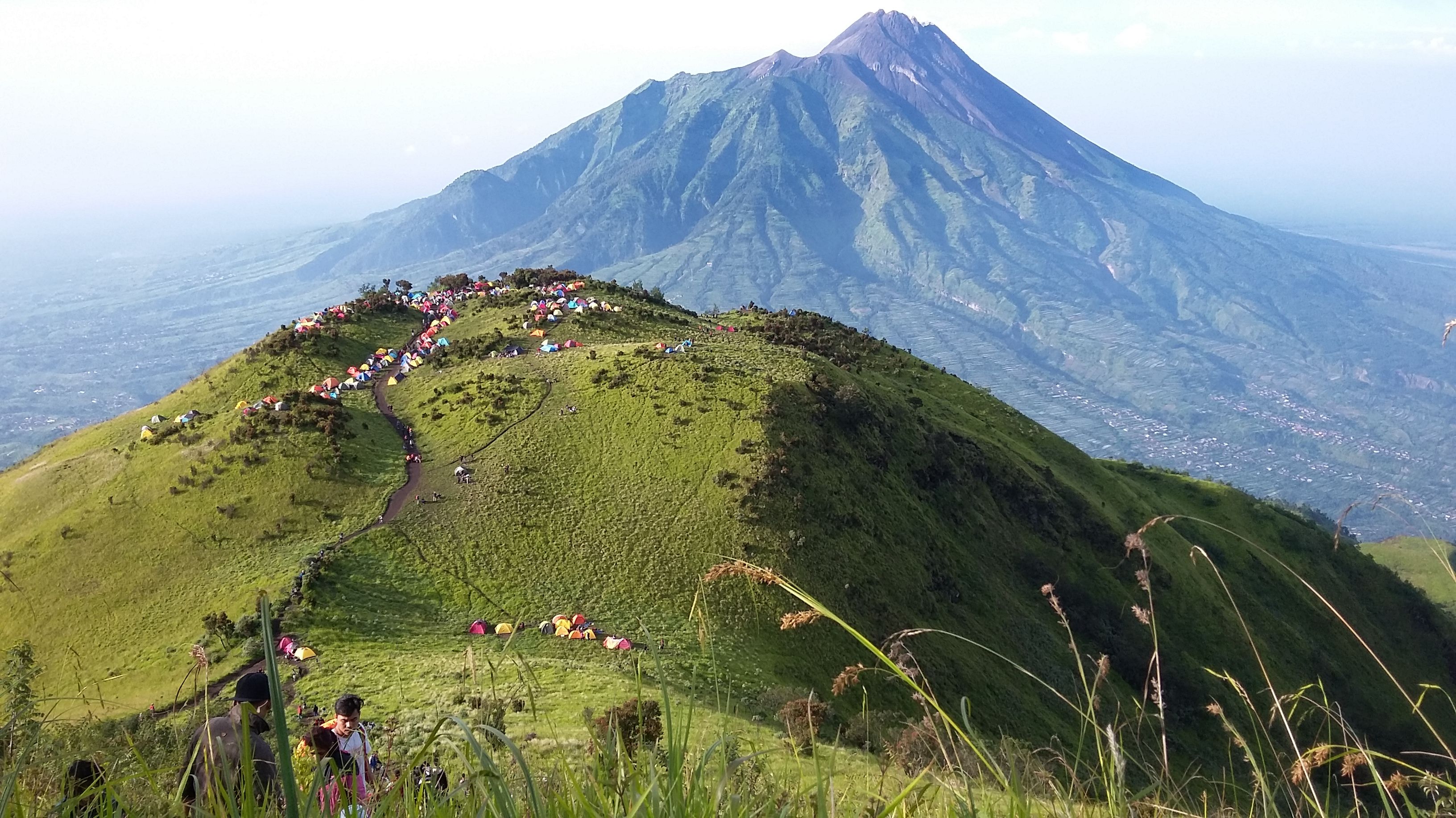 3264x1836 Great nature green at Merbabu Mount