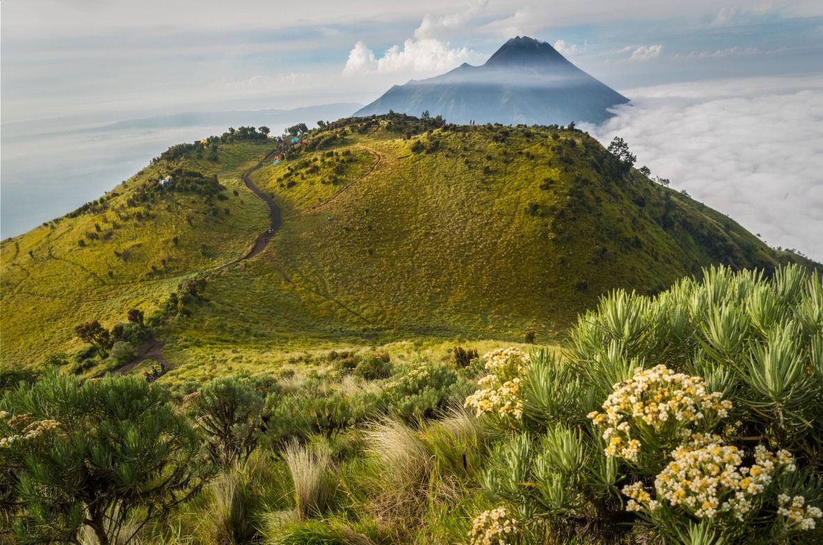 1182x782 Merbabu: ascent of the “mountain
