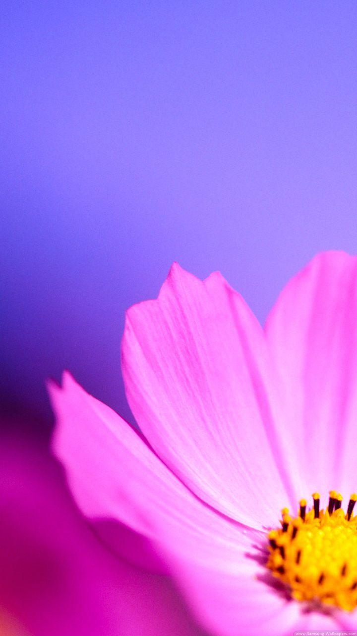 720x1280 Hd Samsung Galaxy S HD Wallpaper & background Download