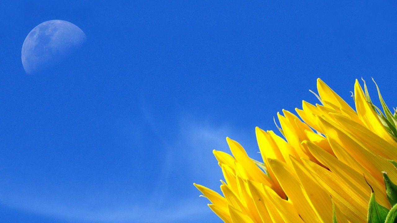1280x720 Samsung Galaxy S3 Wallpapera HD Photo HD Wallpaper High Definition Amazing Cool Desktop Wallpaper For Windows Apple Tablet Free 1920x1080