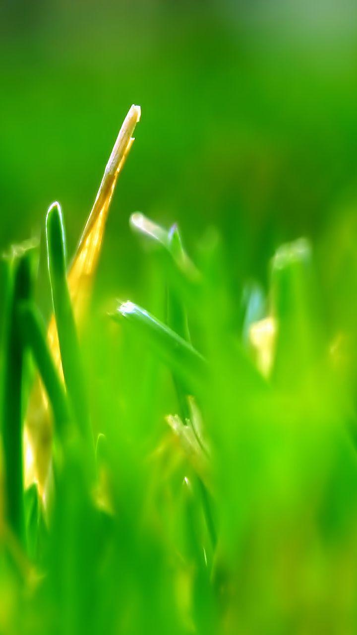 720x1280 Samsung galaxy s3 wallpaper vista android urdu HD