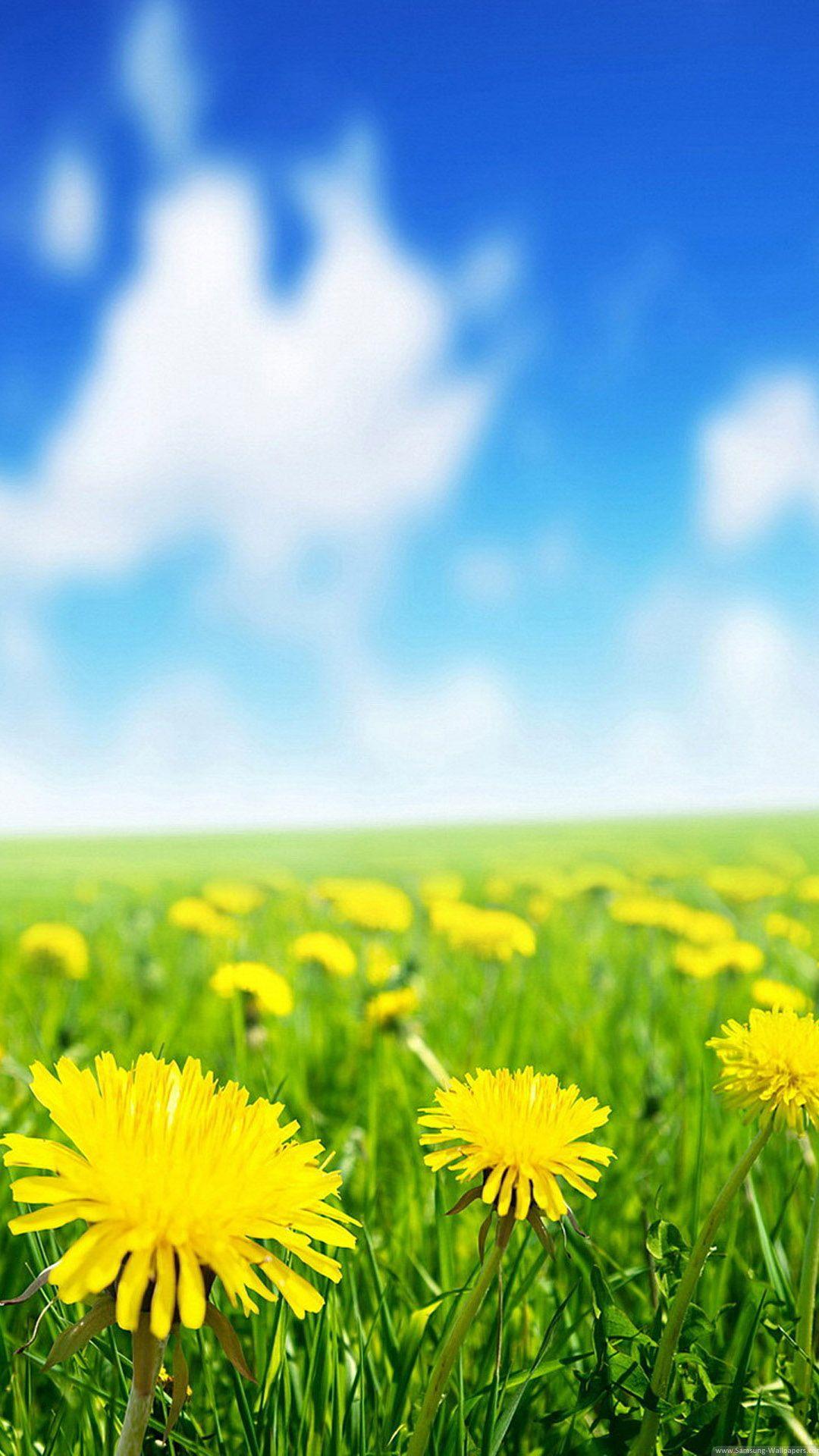 1080x1920 Whdq 514094825 Samsung Galaxy S4 Live Wallpaper Live