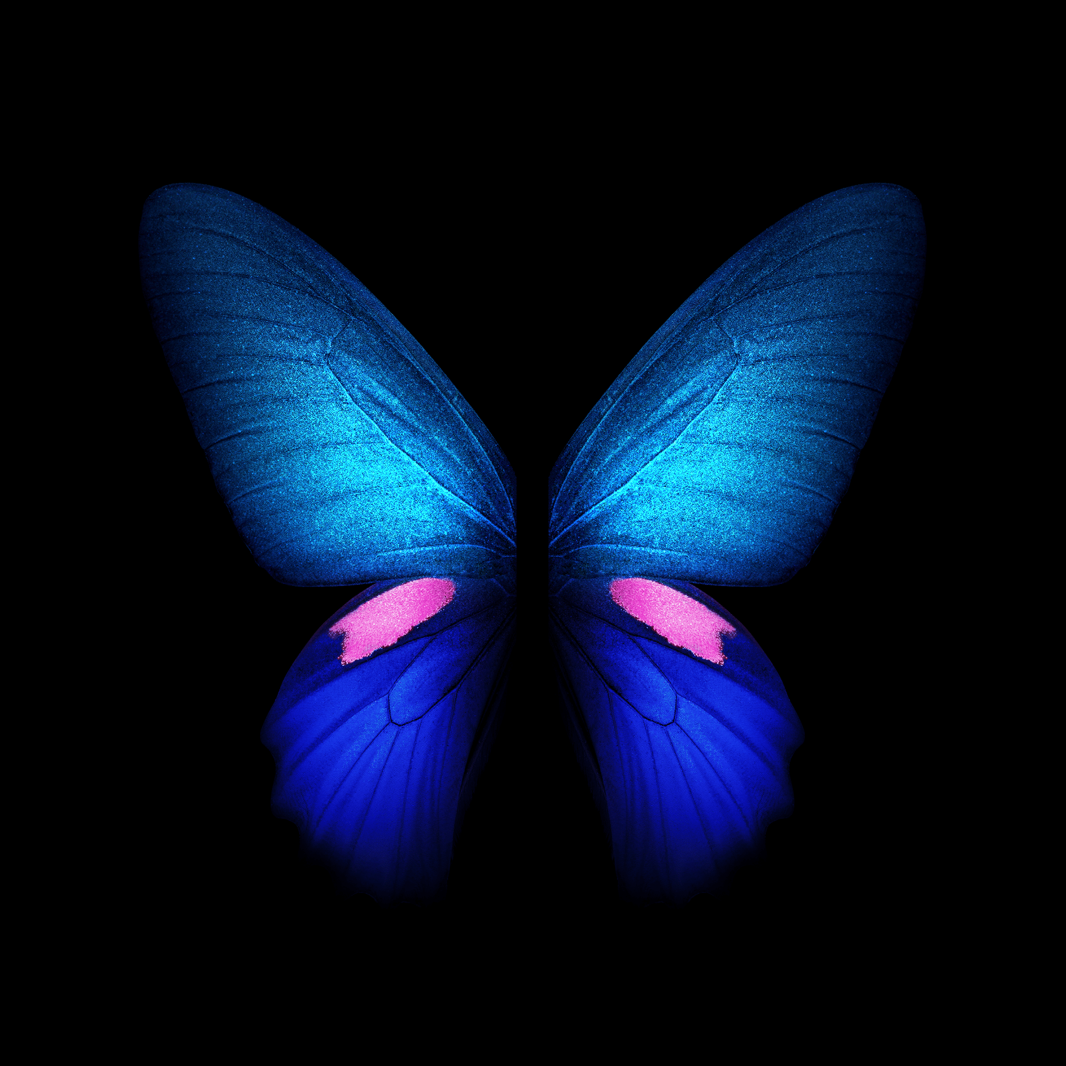 Samsung Galaxy Fold Wallpapers Top Free Samsung Galaxy Fold Backgrounds Wallpaperaccess