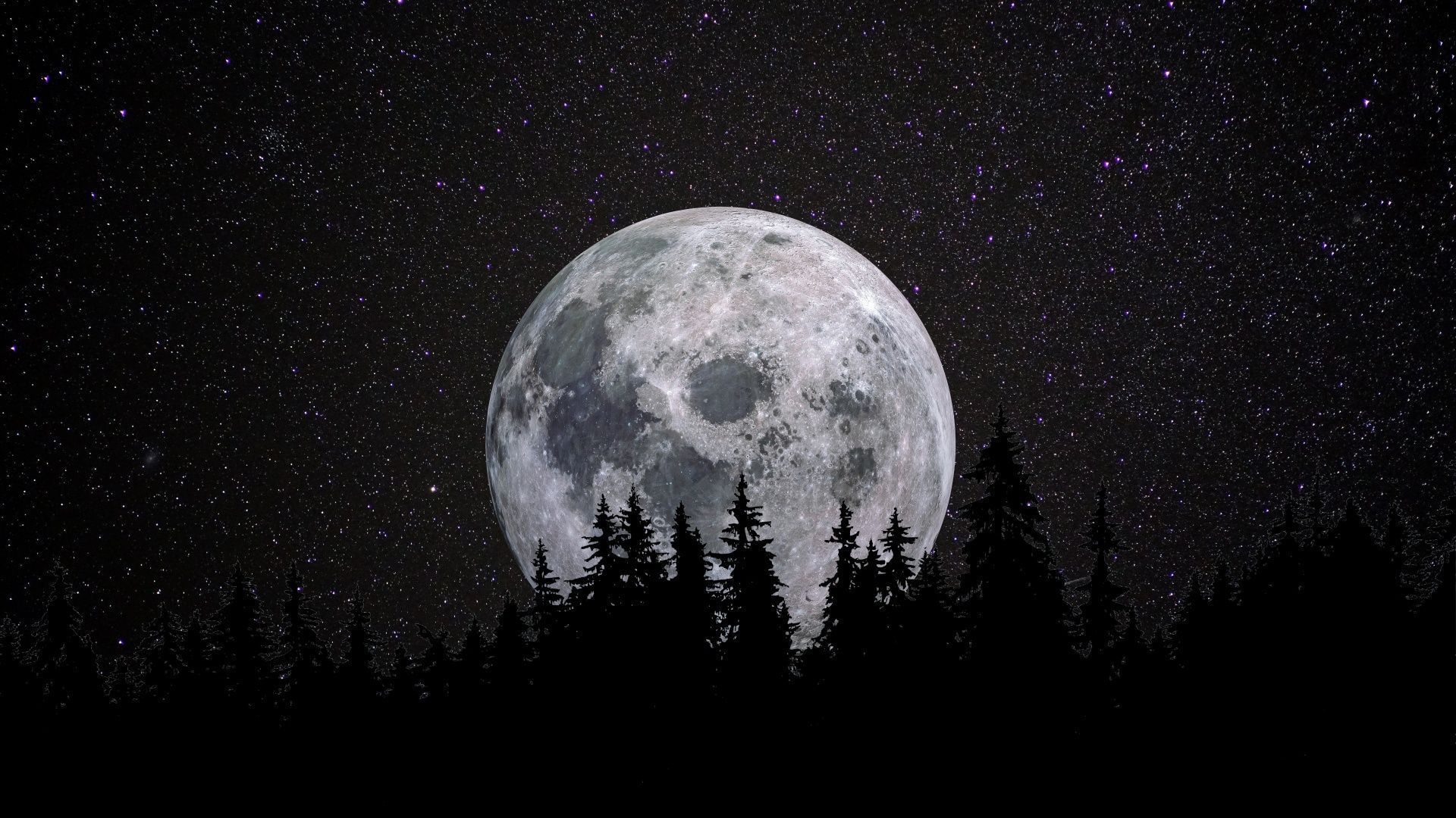 1920x1080 Full moon Wallpaper 4K, Forest, Night