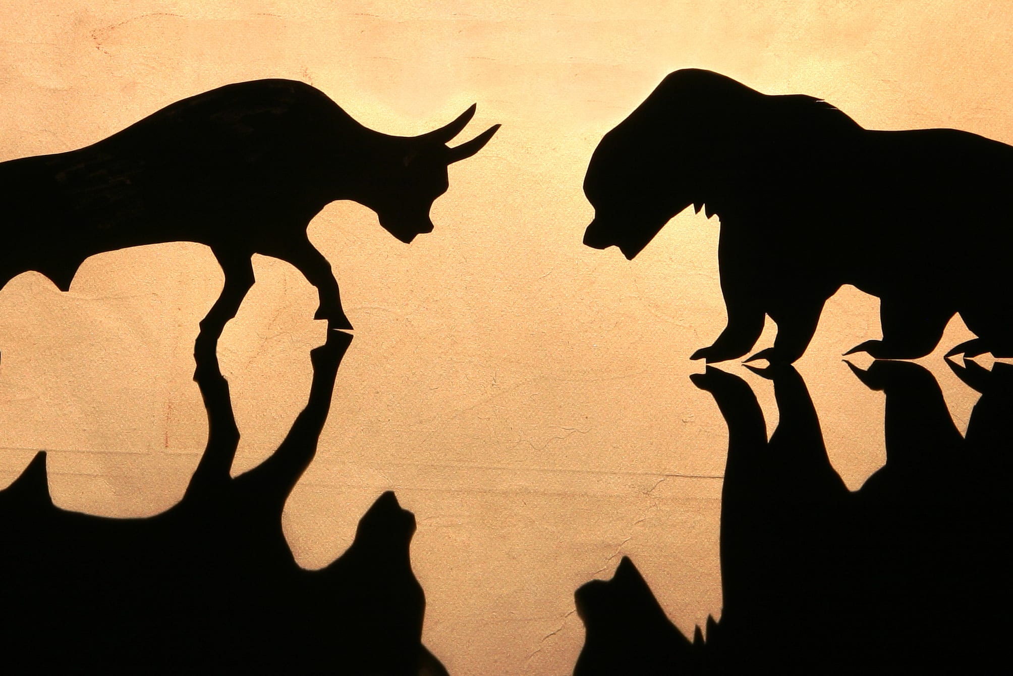 2008x1339 Bear Vs Bull Wallpaper