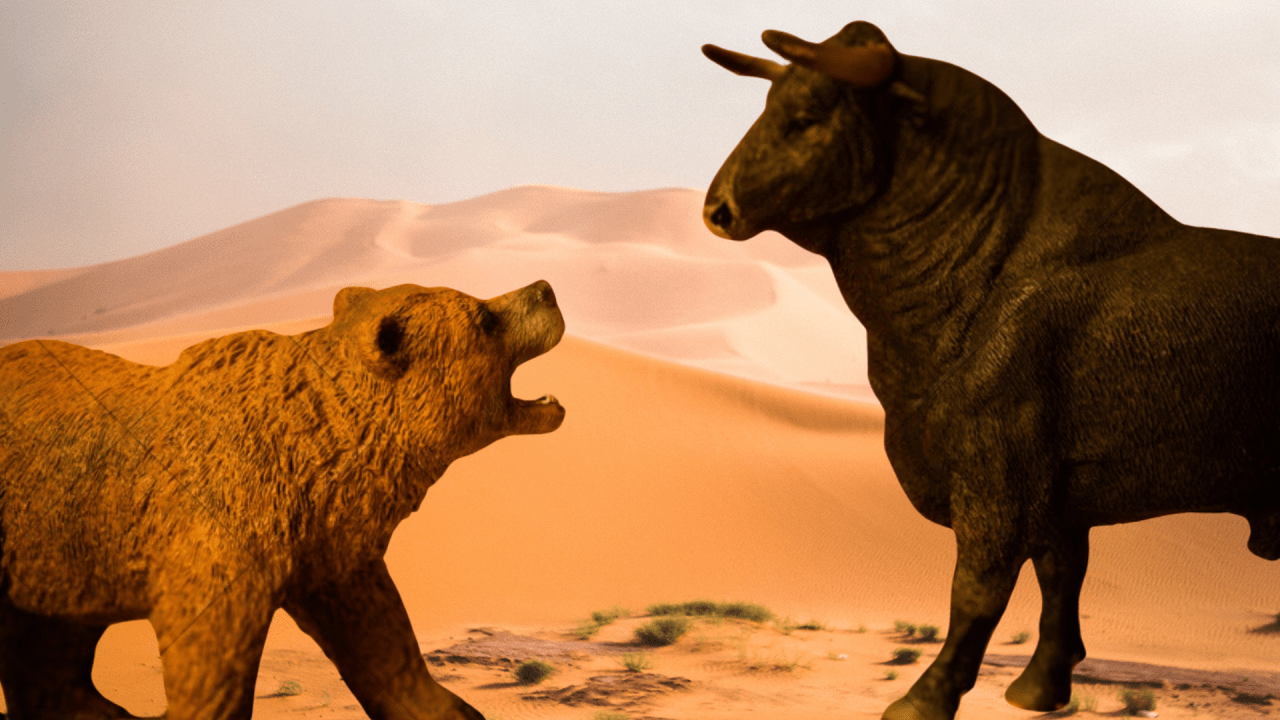 1280x720 bear' really mean in the stock market