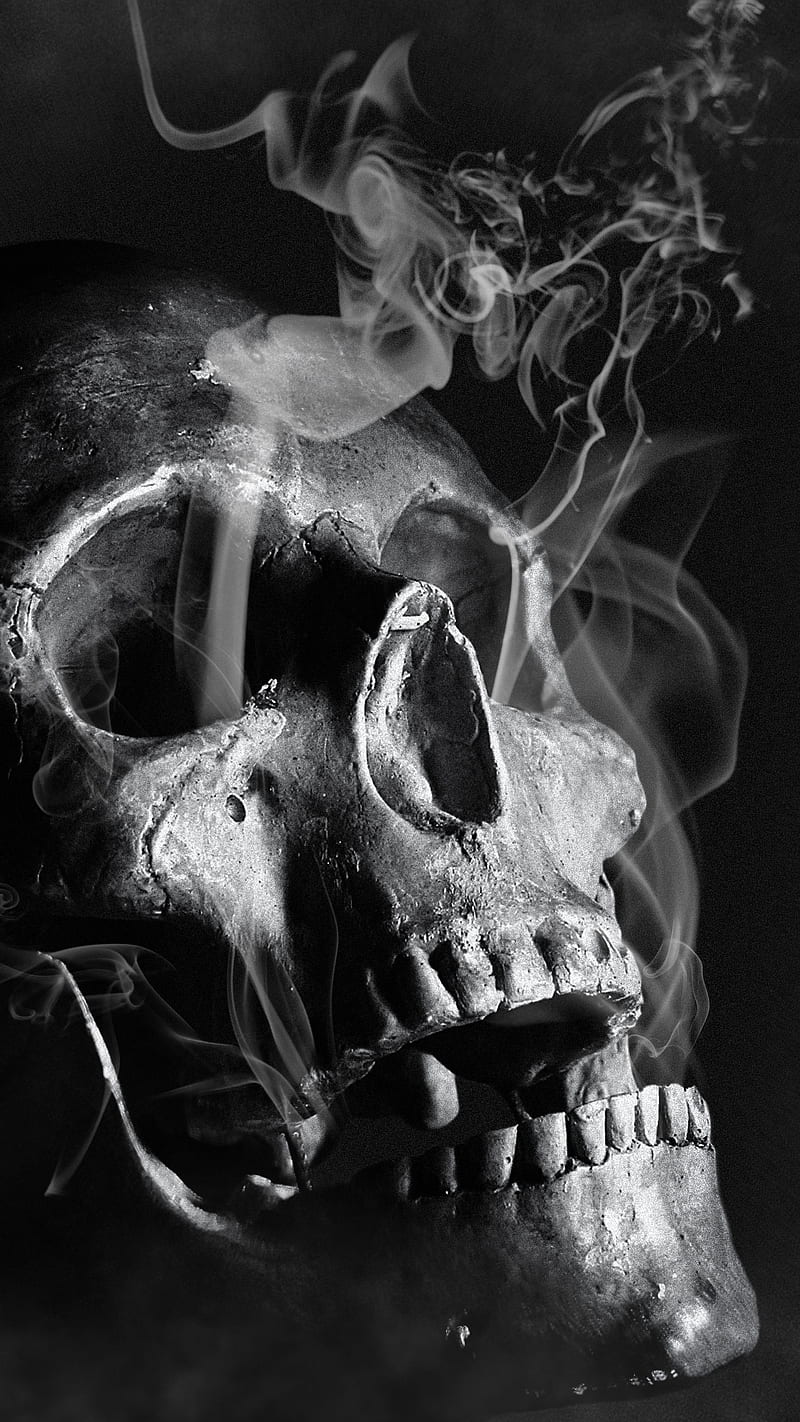 800x1422 skulls, smoke, HD wallpaper