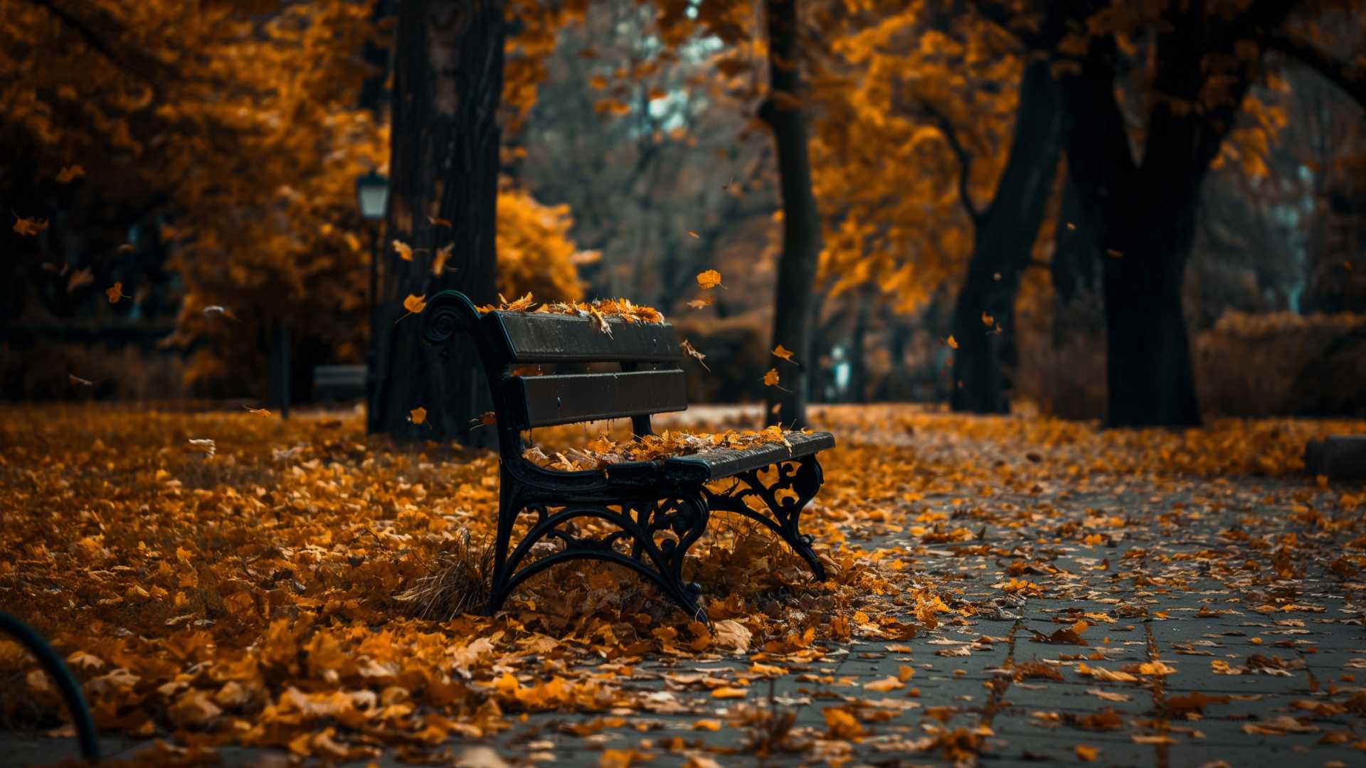 1920x1080 Park Wallpaper, Autumn