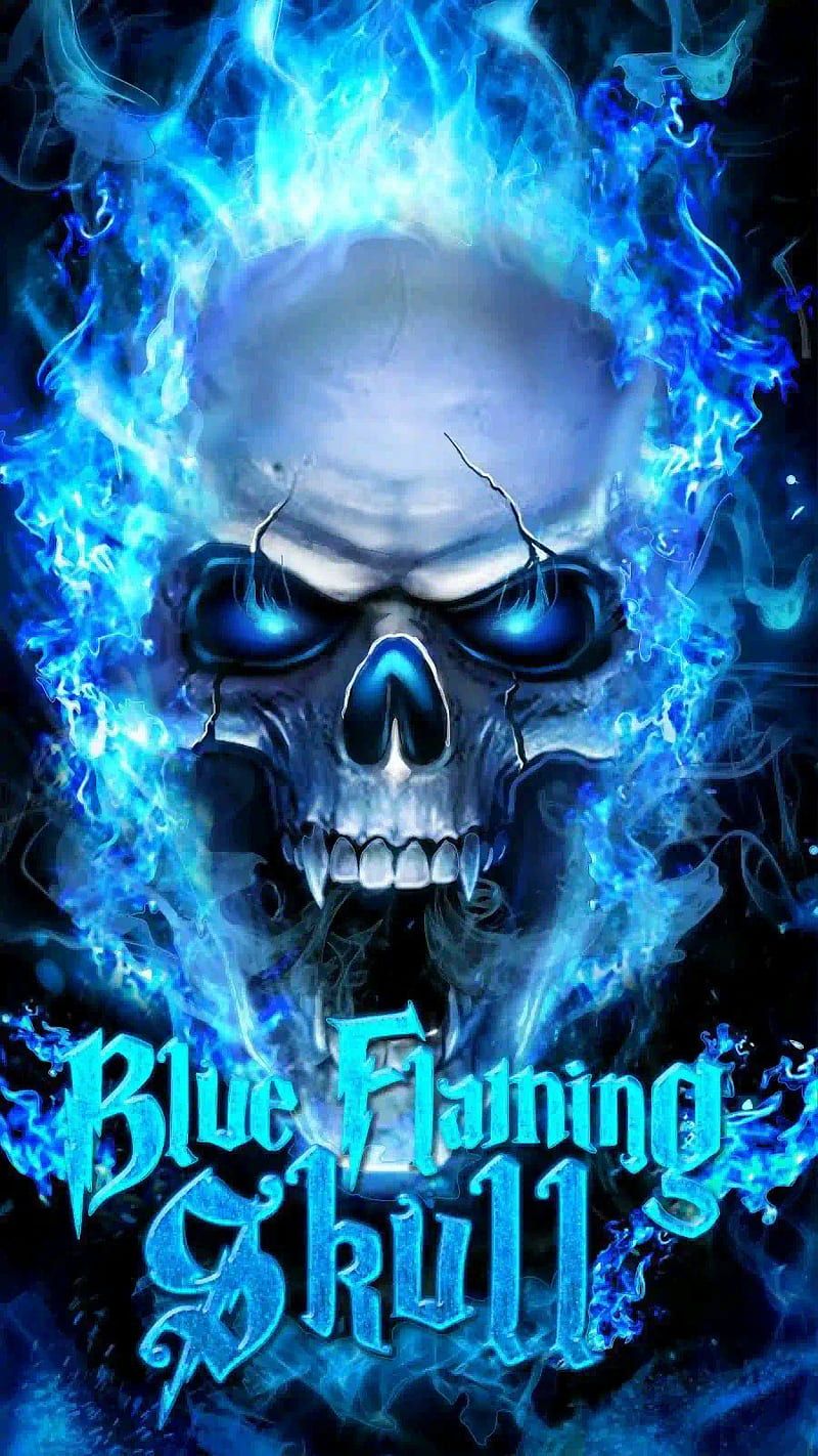 800x1422 HD phone wallpaper