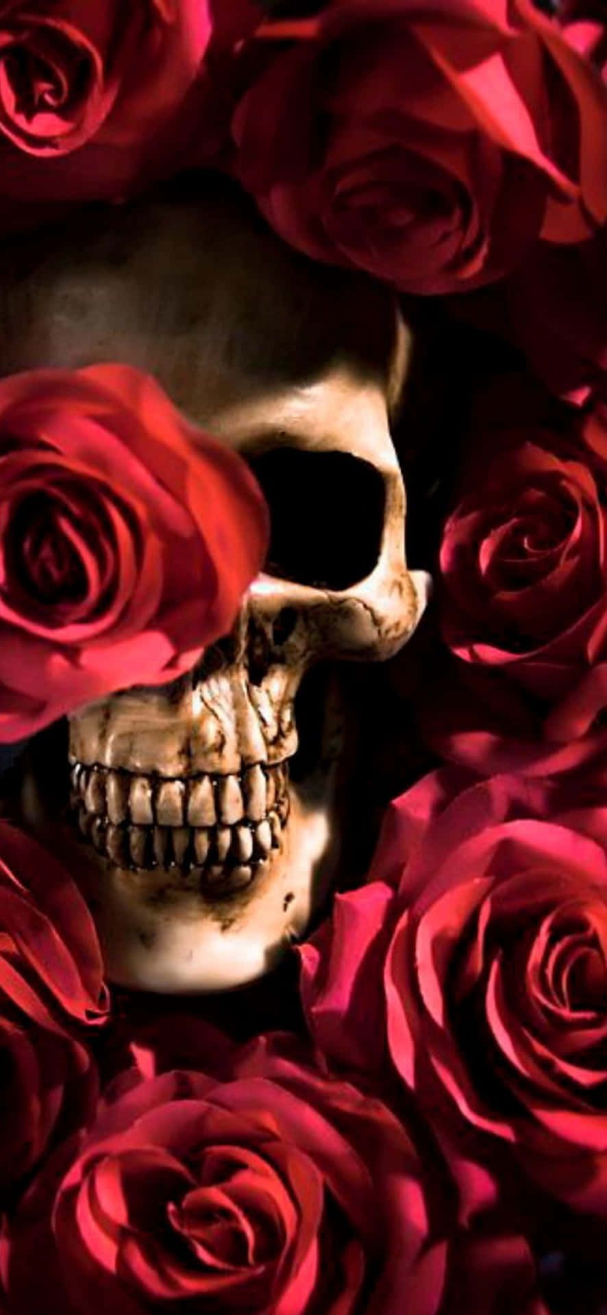 886x1920 Download Love Skulls And Roses