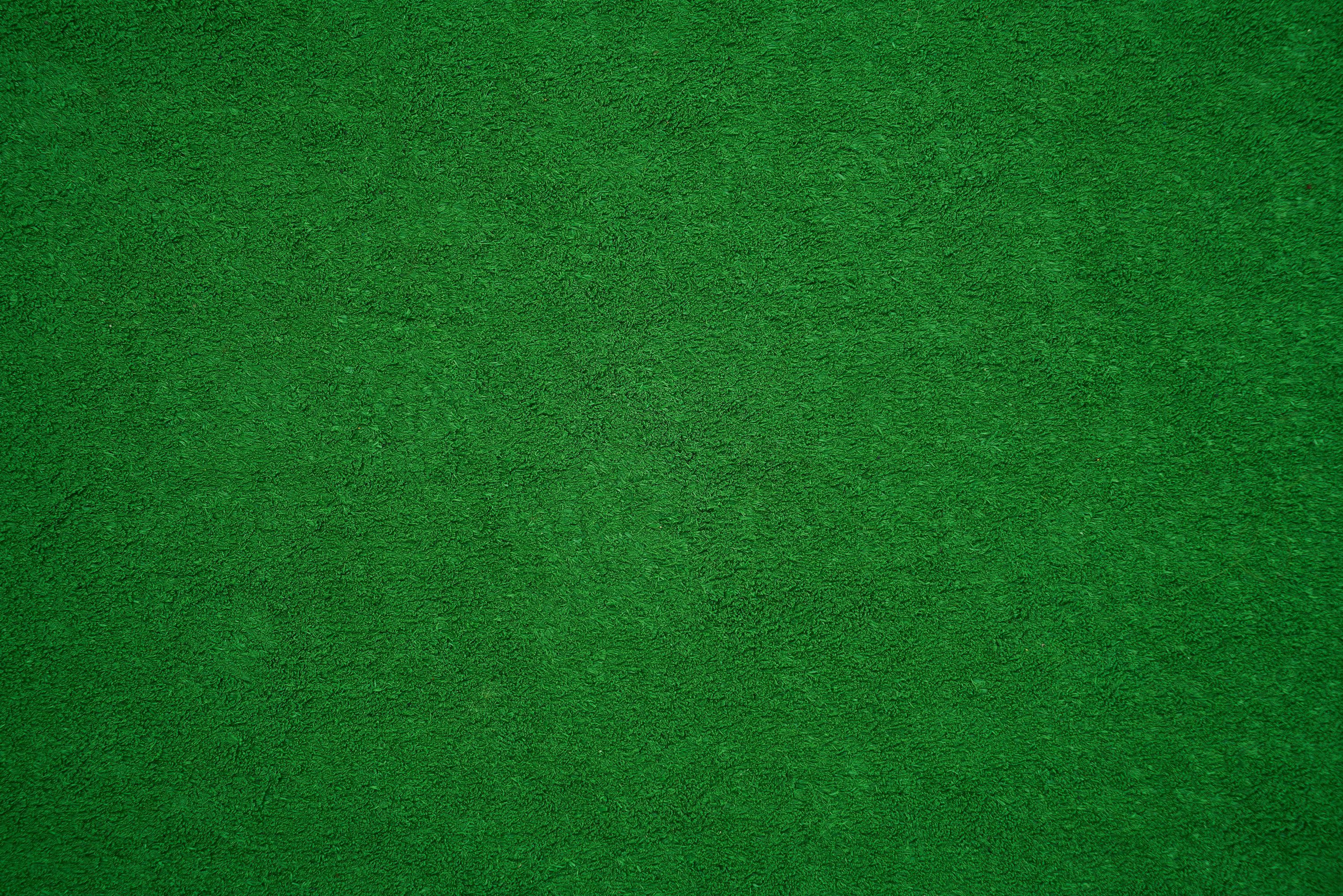 3000x2001 Green Picture [HD]. Download
