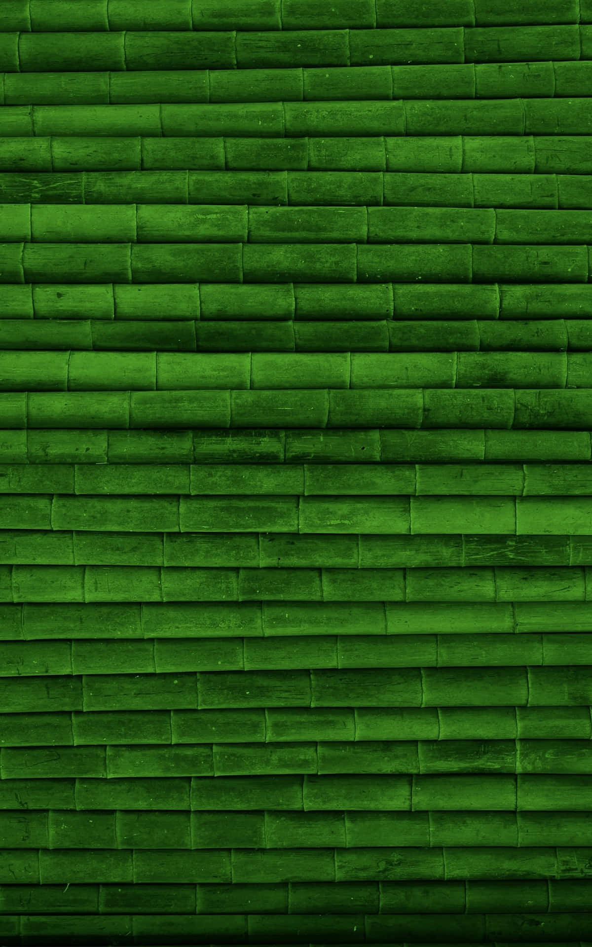 1200x1920 Green Color Background