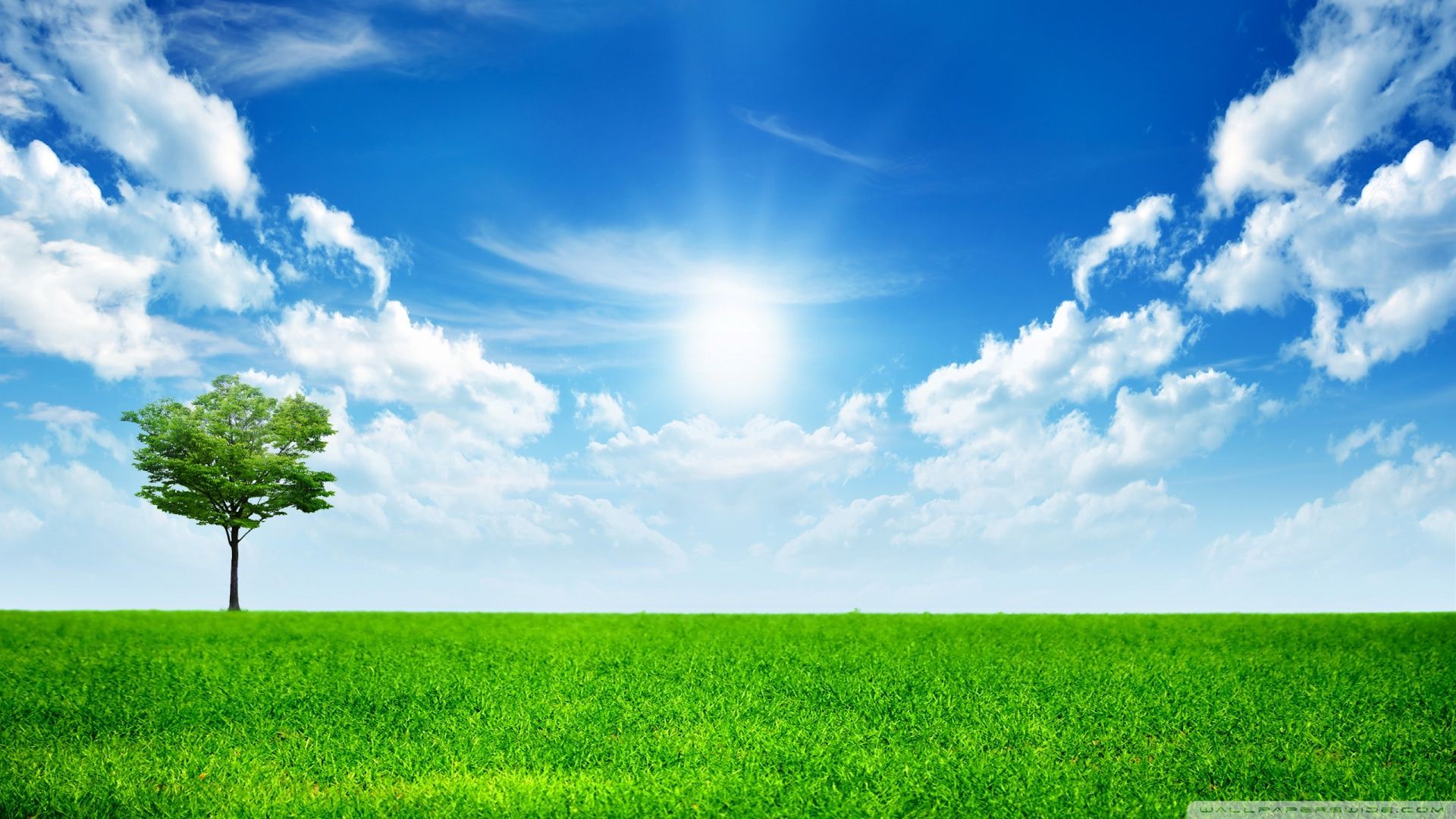 1920x1080 Green Nature Ultra HD Wallpaper for 4K