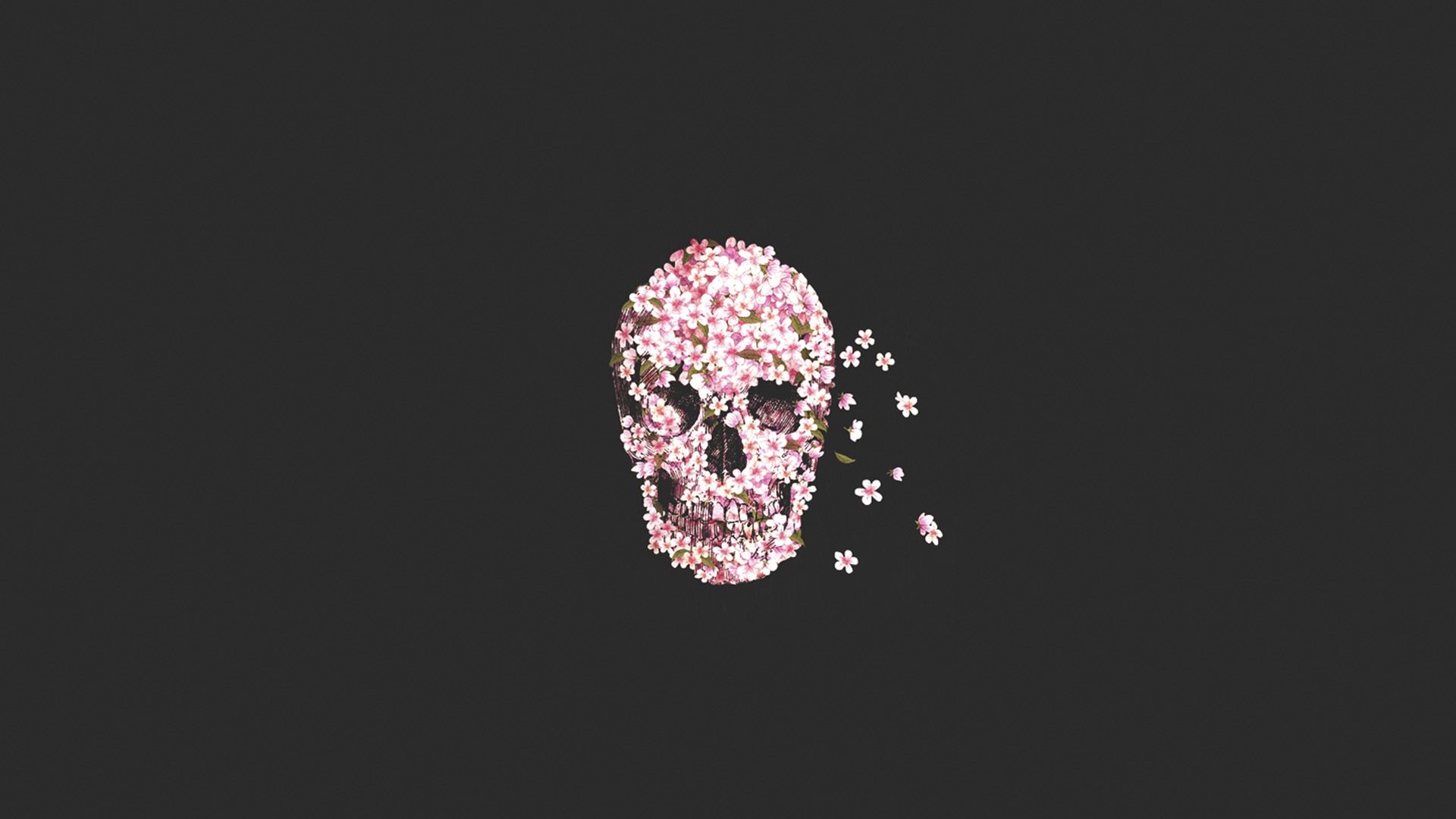 1920x1080 Wallpaper flowers, skull, sake, flower