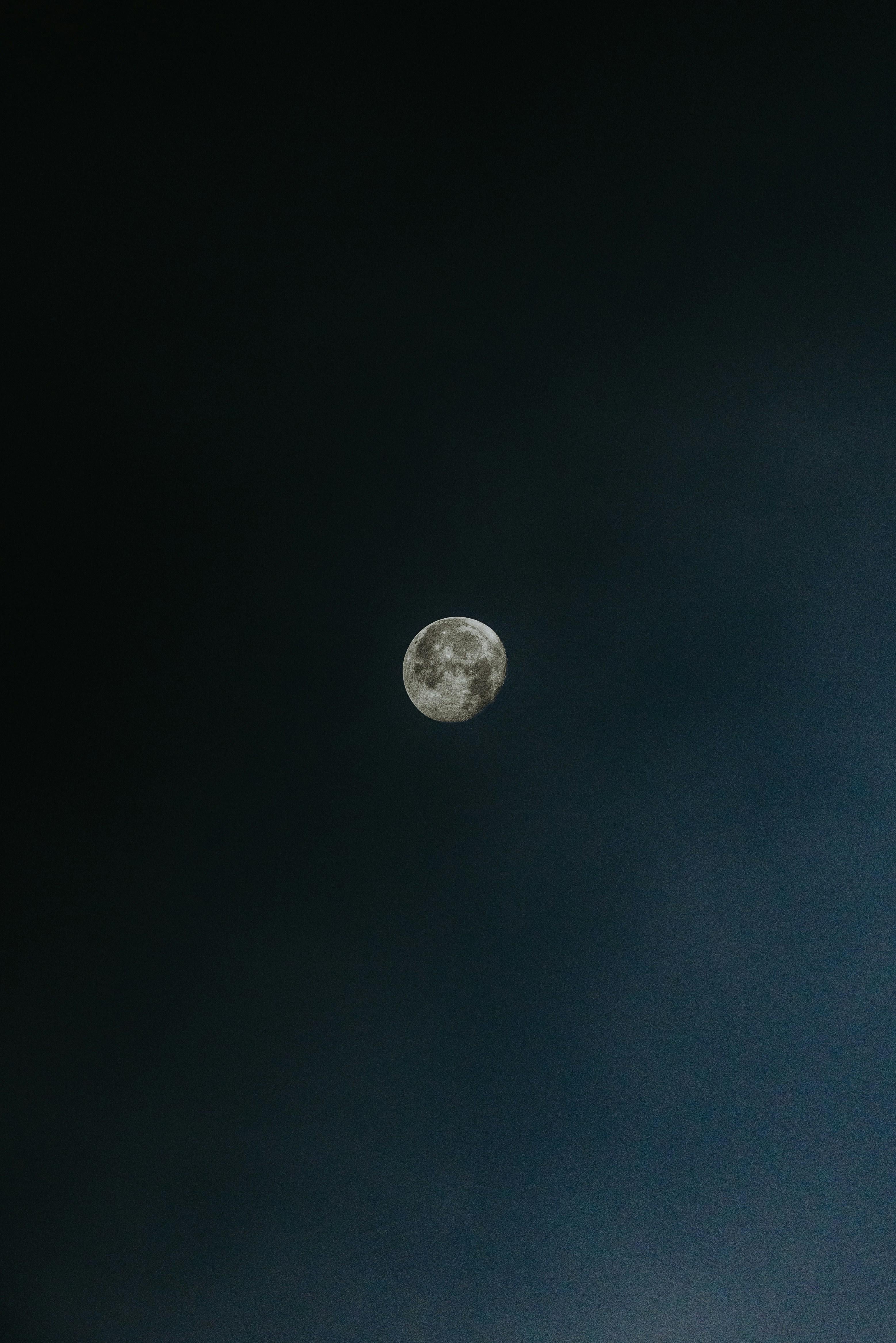 3115x4672 Upload the best dark wallpaper you have