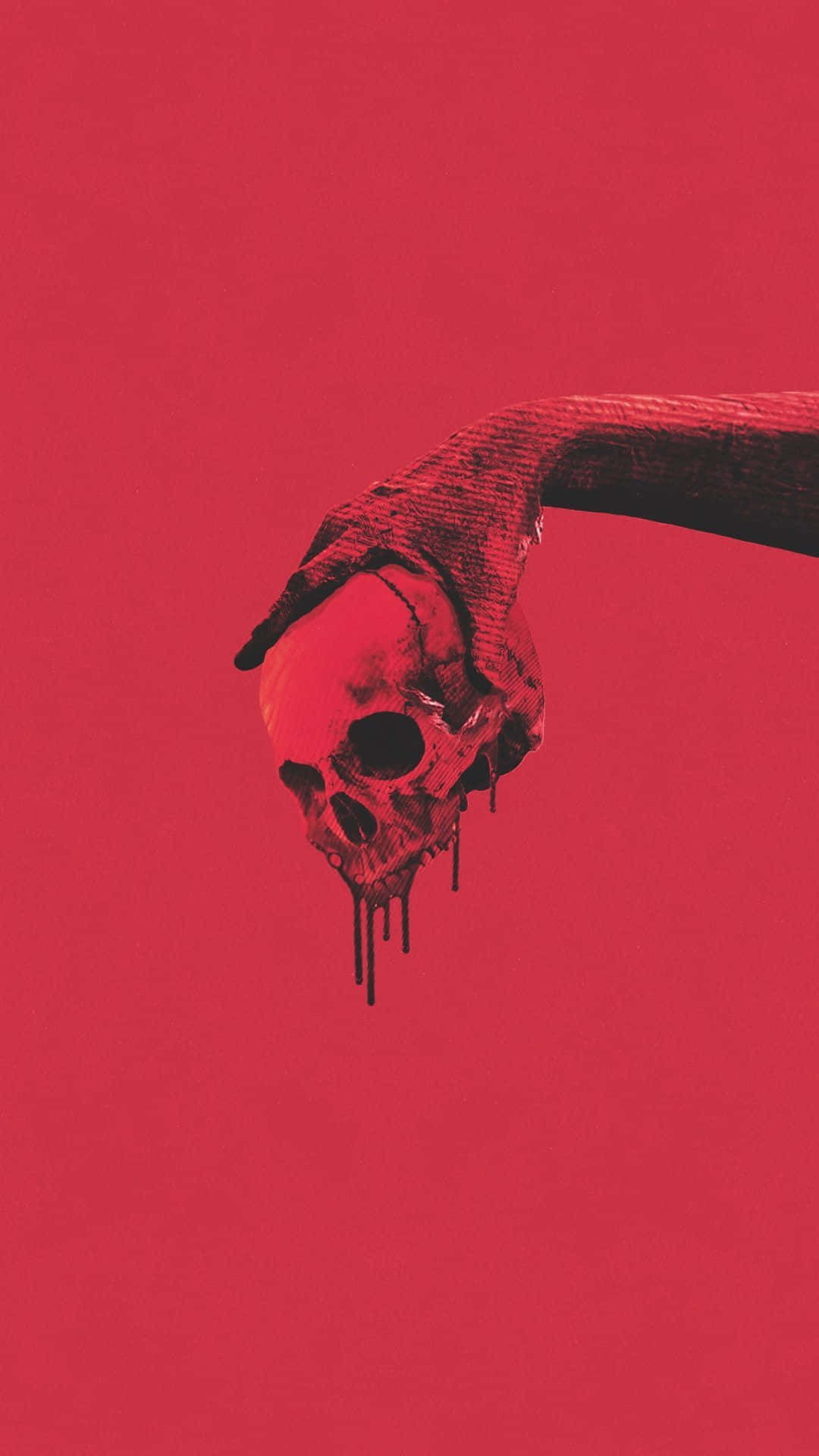 1080x1920 Skull On A Red Background Wallpaper
