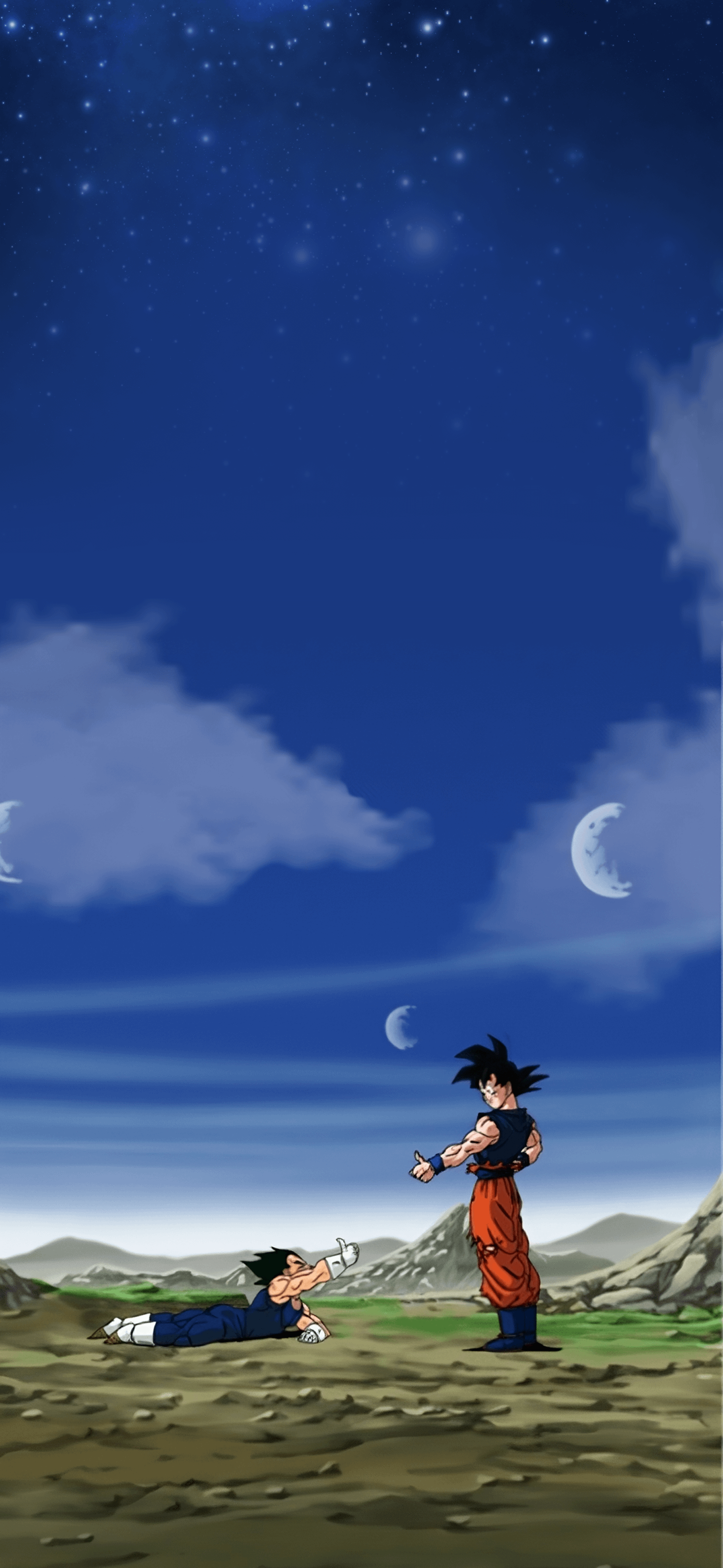 1440x3120 Phy LR SSJ3 Goku SSJ2 Vegeta Wallpaper