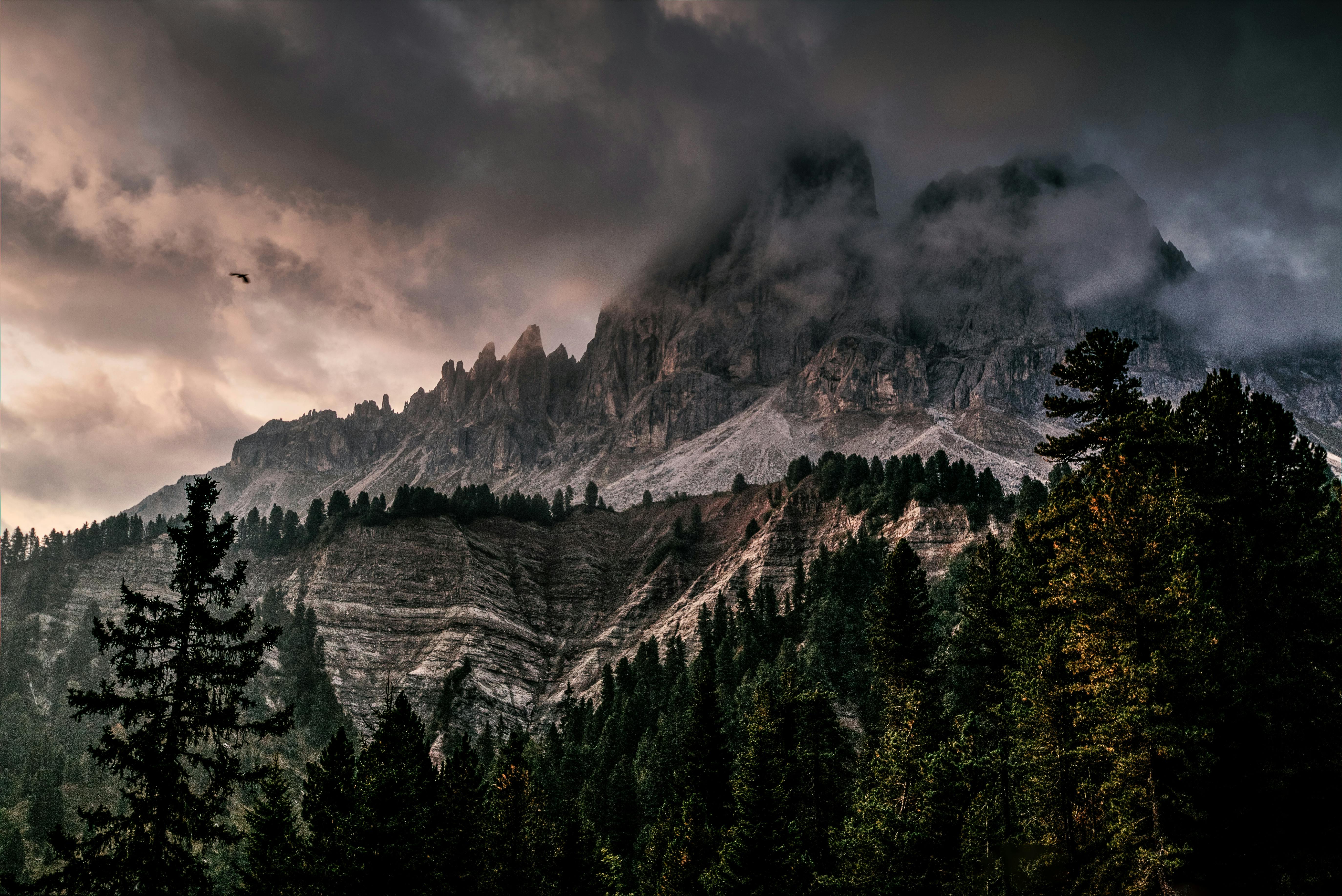 5496x3670 Best Desktop Wallpaper Photo