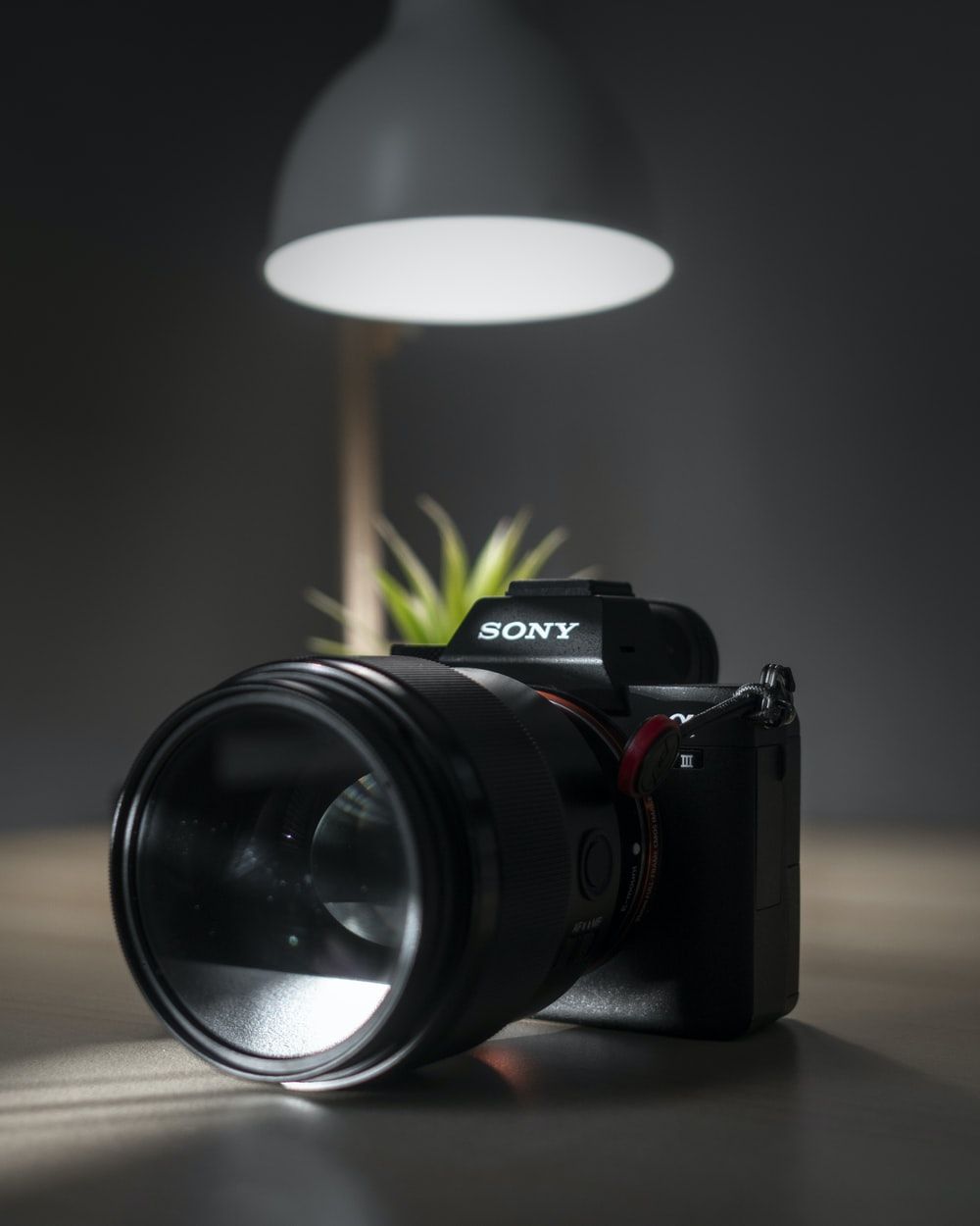 1000x1250 Sony A7iii Wallpaper