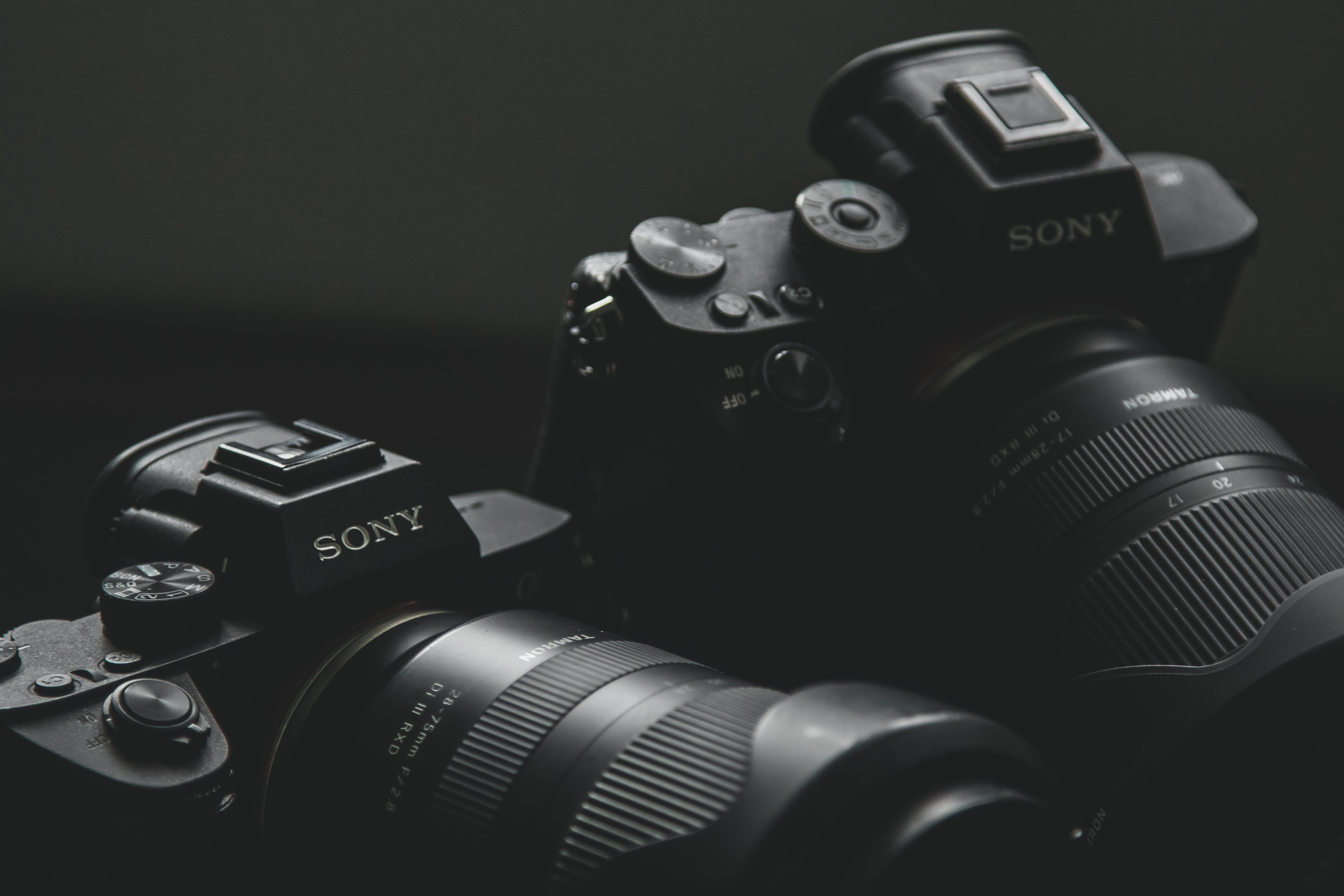 6000x4000 Sony A7iii 24 105 F4. It's A Good Time