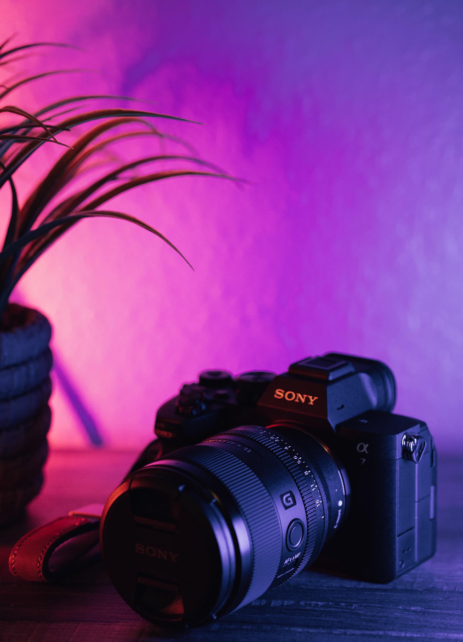 1477x2048 A7iv & my favorite lens