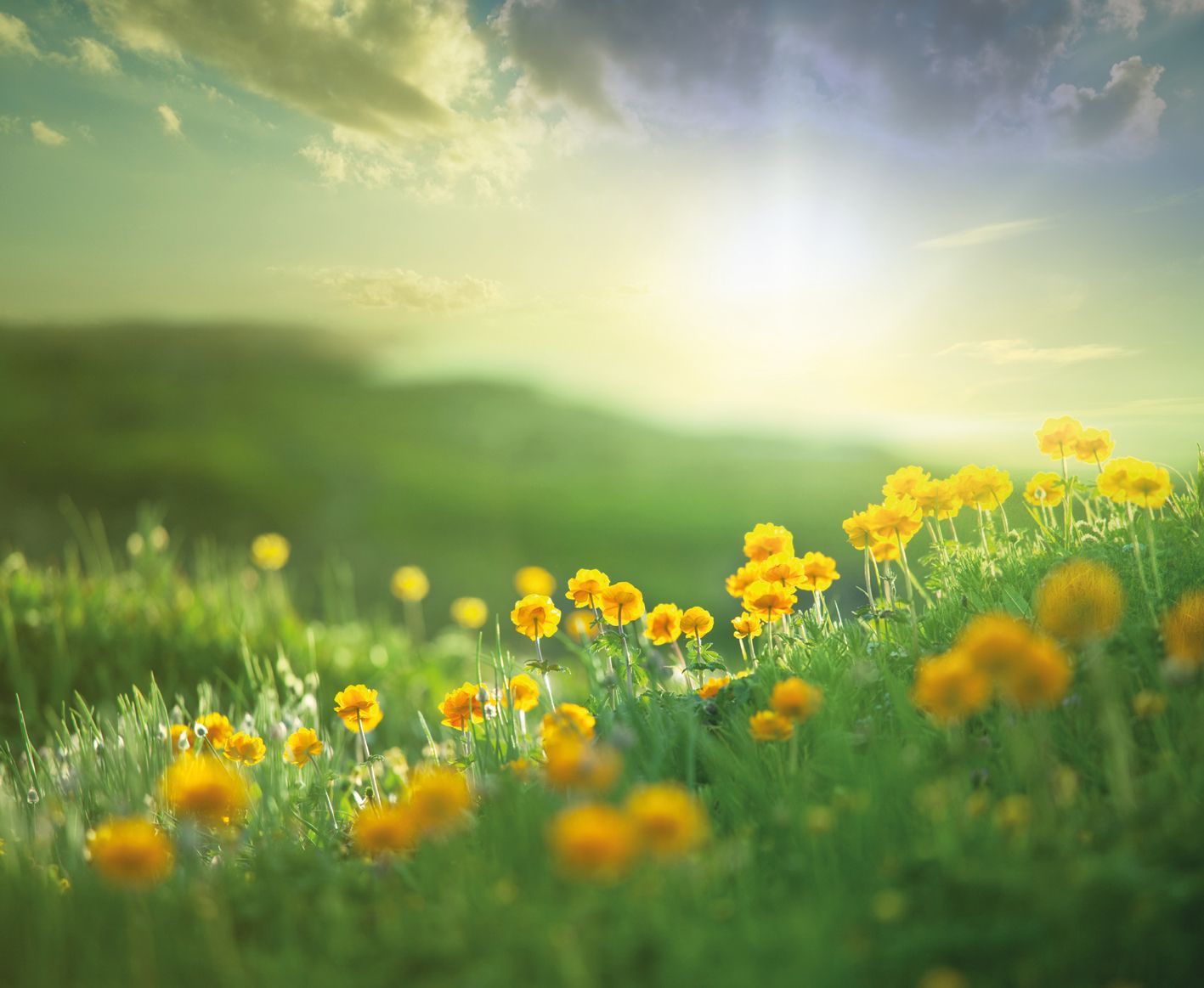 Bright Future Wallpapers Top Free Bright Future Backgrounds