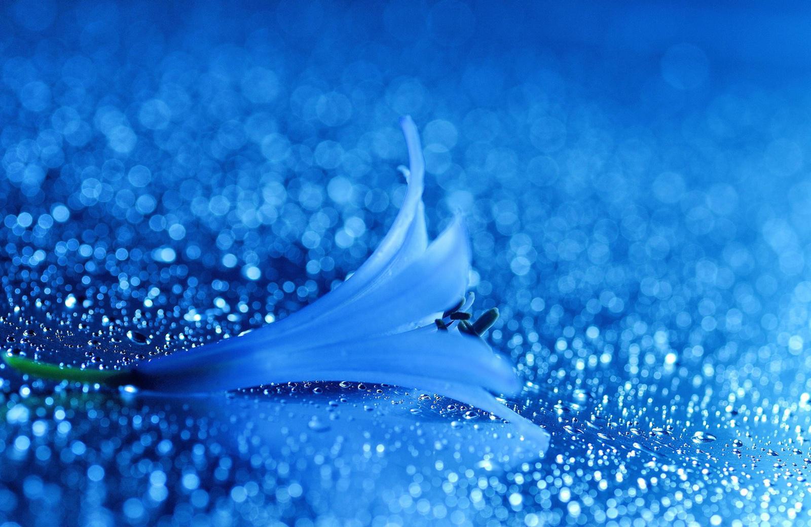 Pretty HD Wallpapers - Top Free Pretty HD Backgrounds - WallpaperAccess