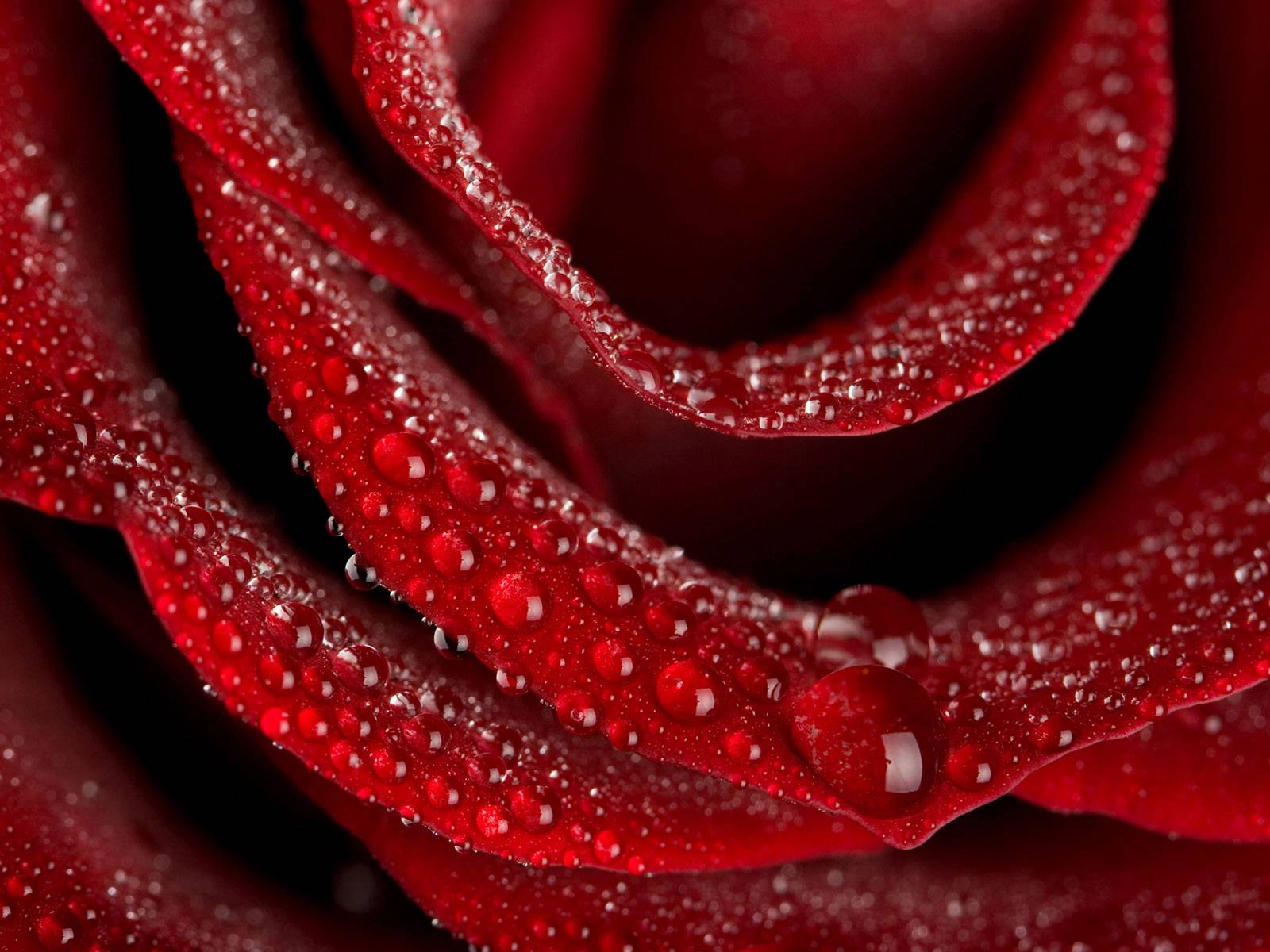 1600x1200 Pretty Background wallpaperx1200