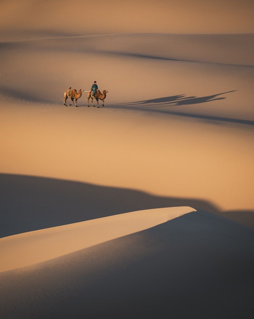 815x1024 Journeyi desert