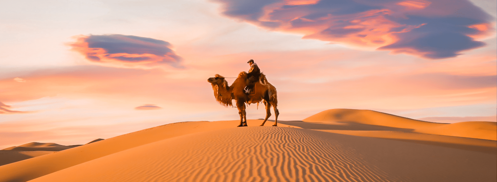 1624x595 Explore the mystical Gobi desert